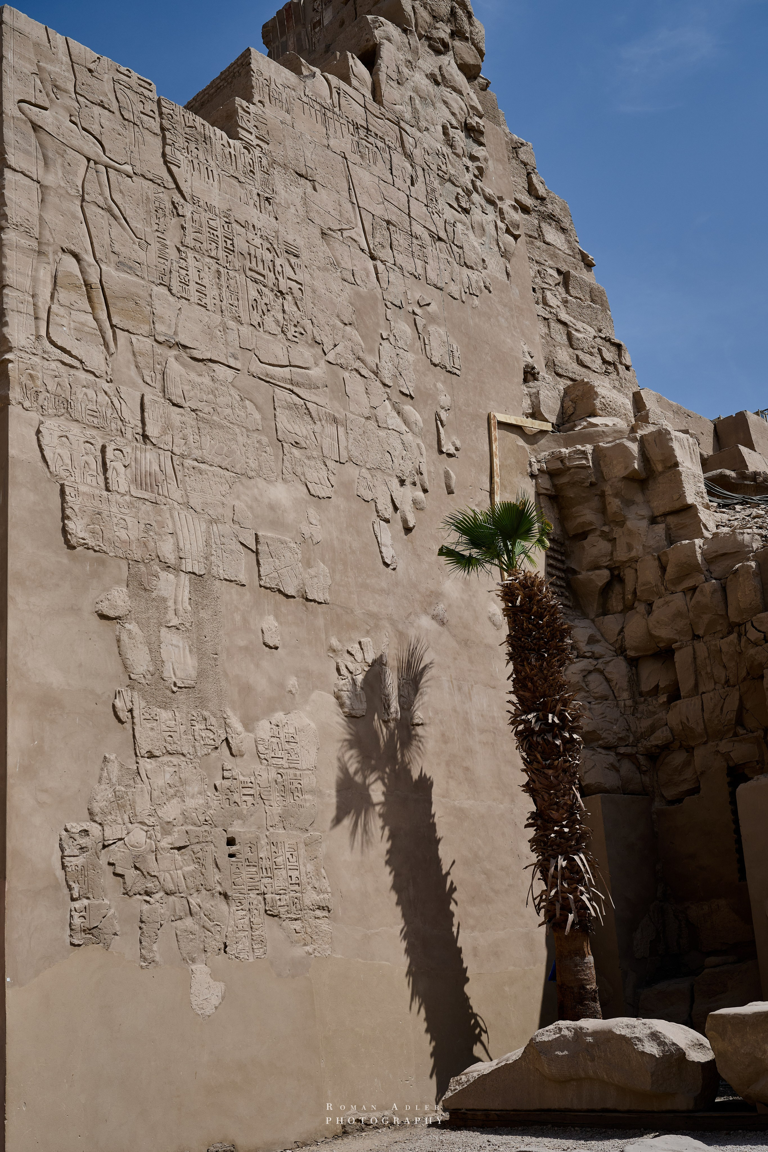 Луксор. Февраль 2025. Фотограф Роман Адлер