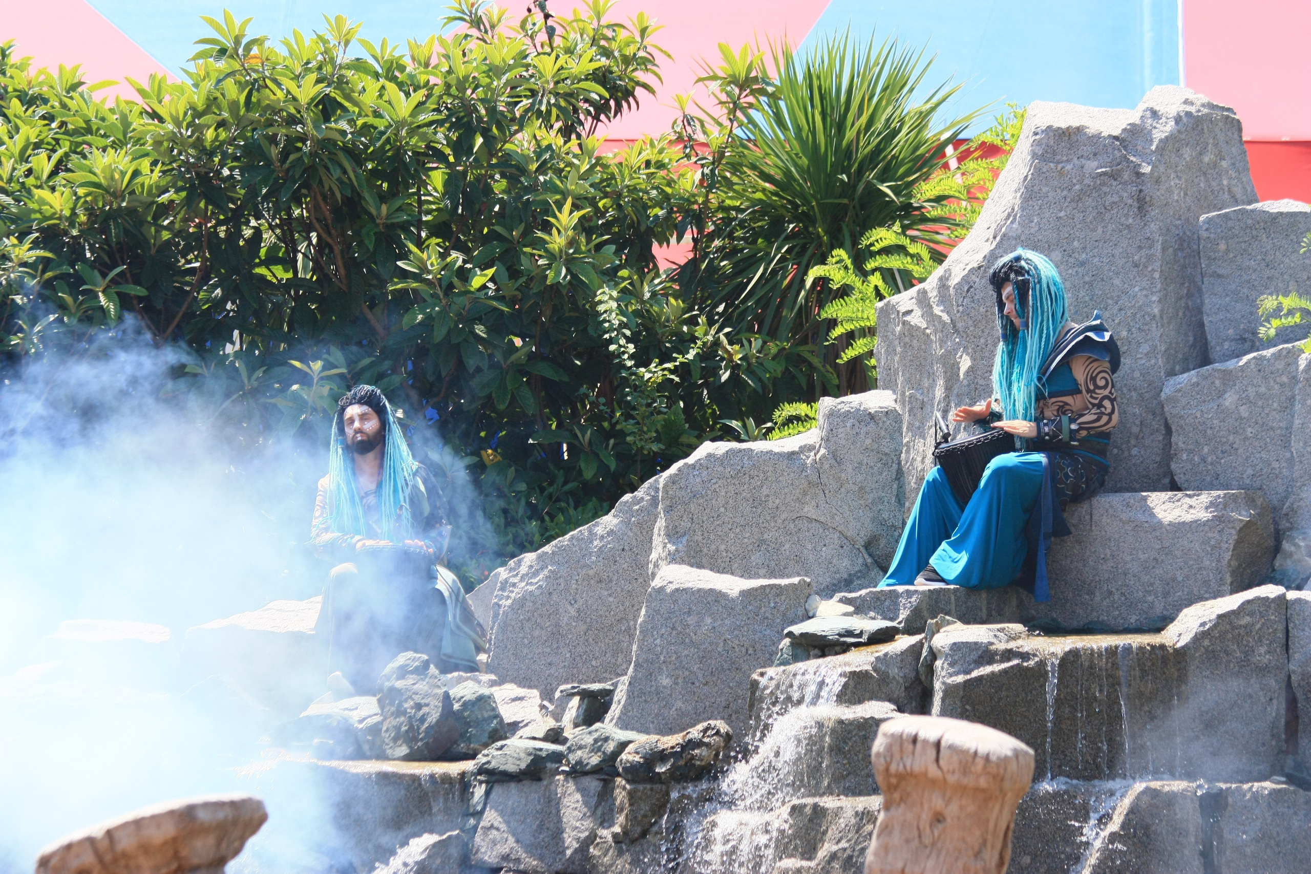 Первые кадры. Сочи — парк. Фотограф Роман Адлер