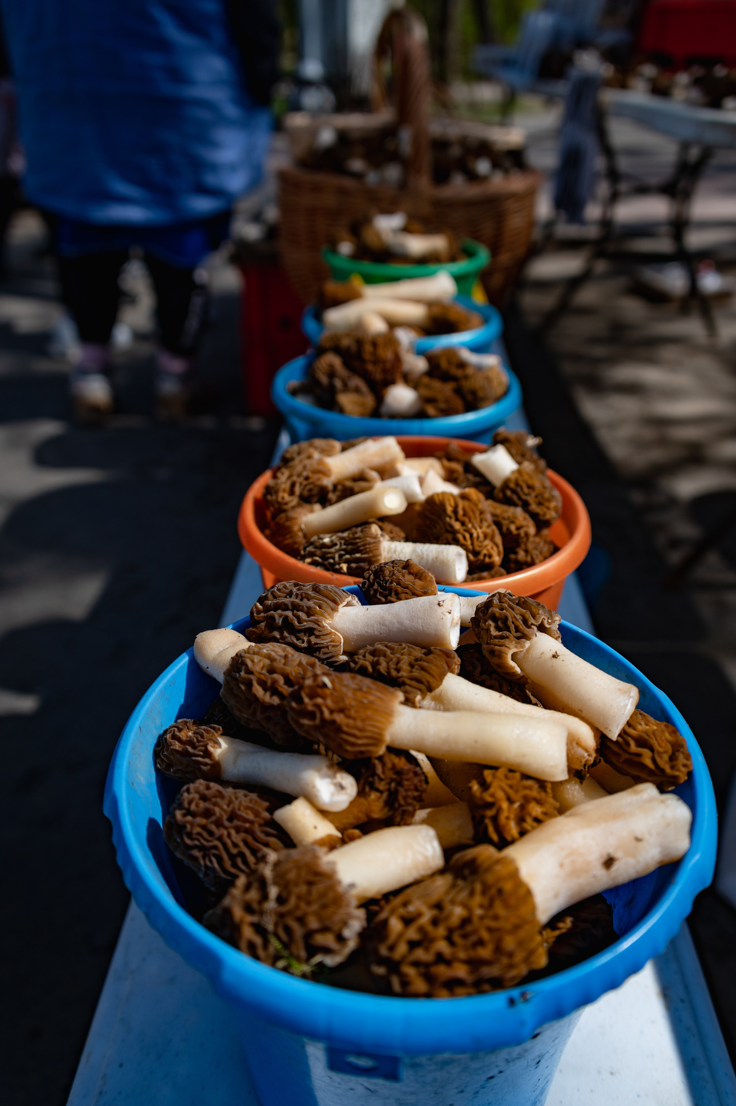 Кострома. Май 2023. Фотограф Роман Адлер