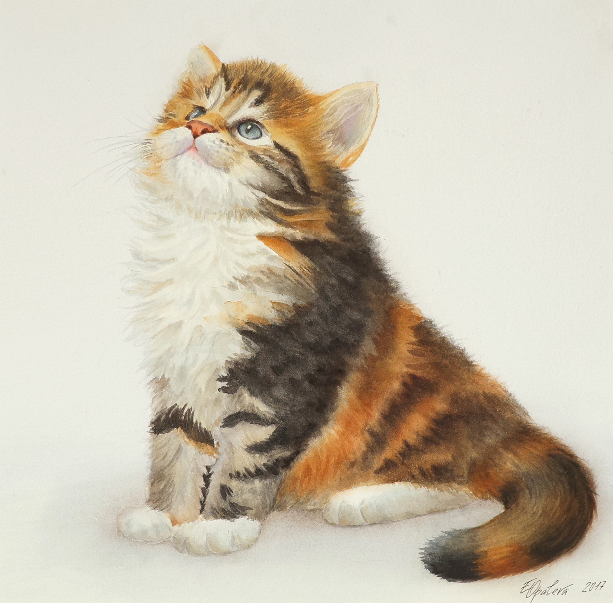 АНИМАЛИЗМ. Елена Опалева — художница. Москва