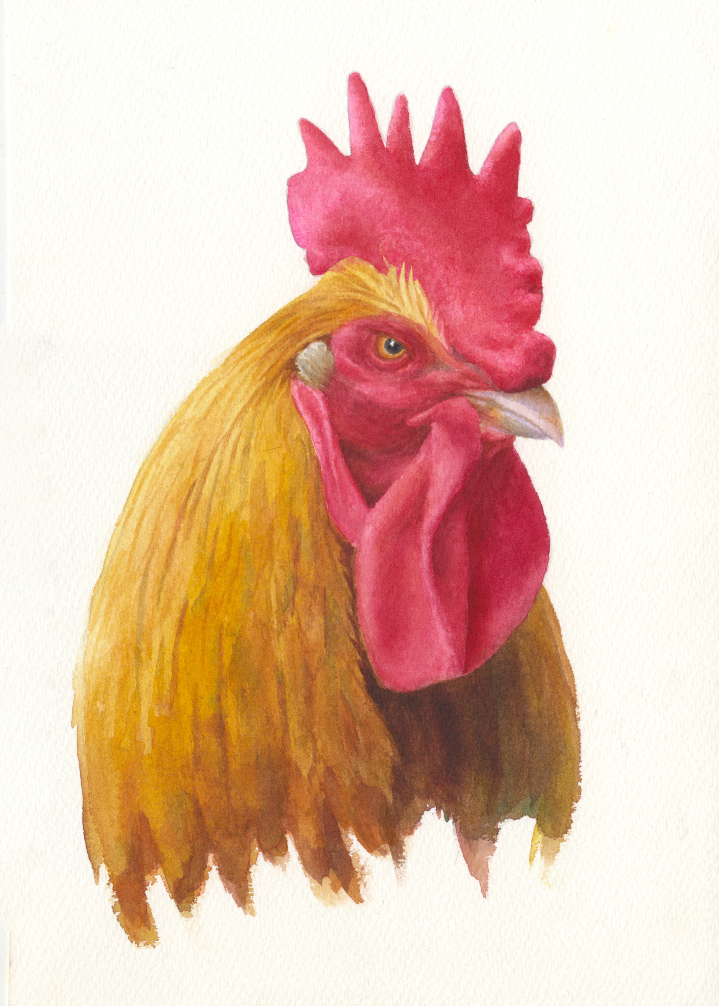 АНИМАЛИЗМ. Елена Опалева — художница. Москва