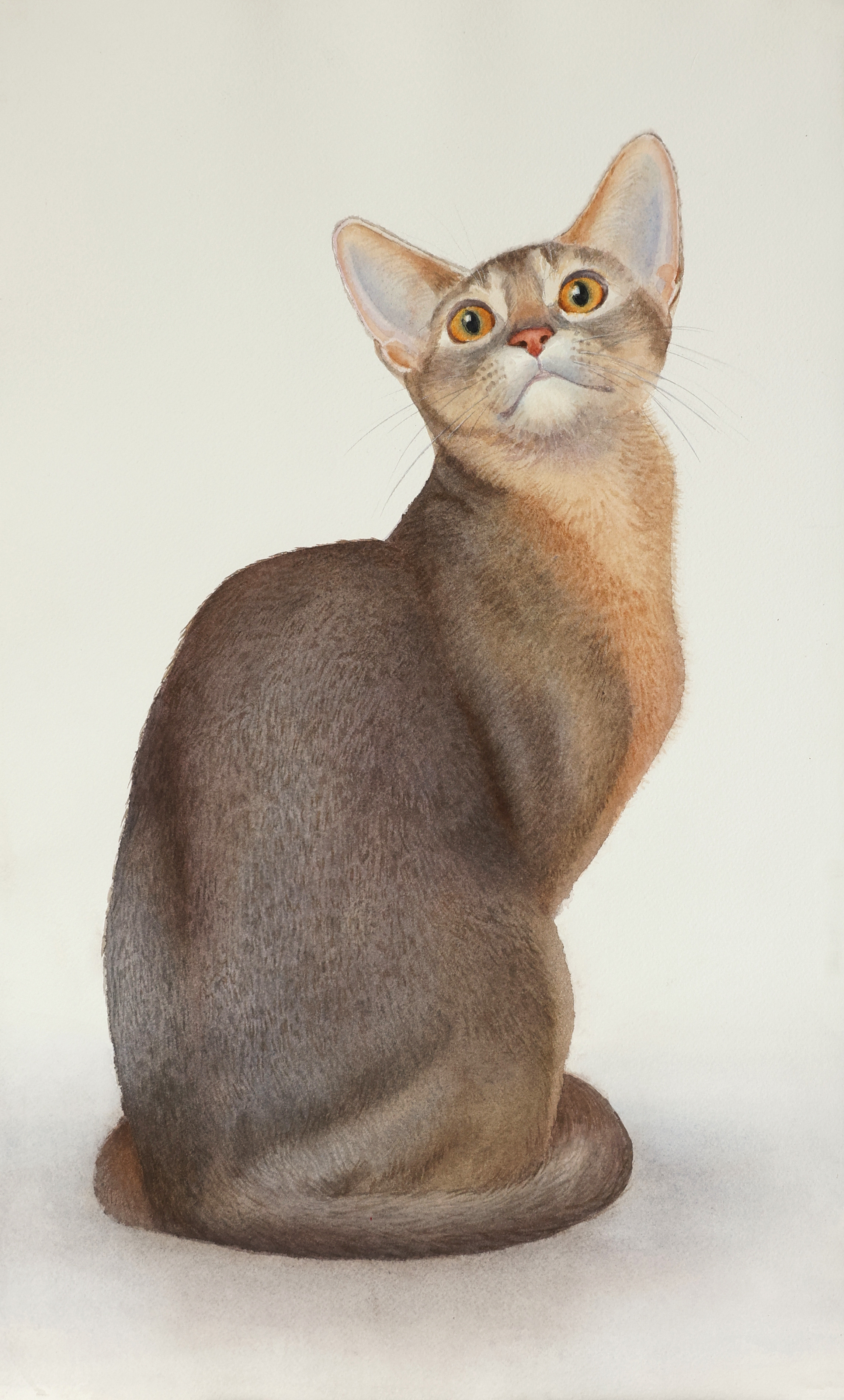 АНИМАЛИЗМ. Елена Опалева — художница. Москва