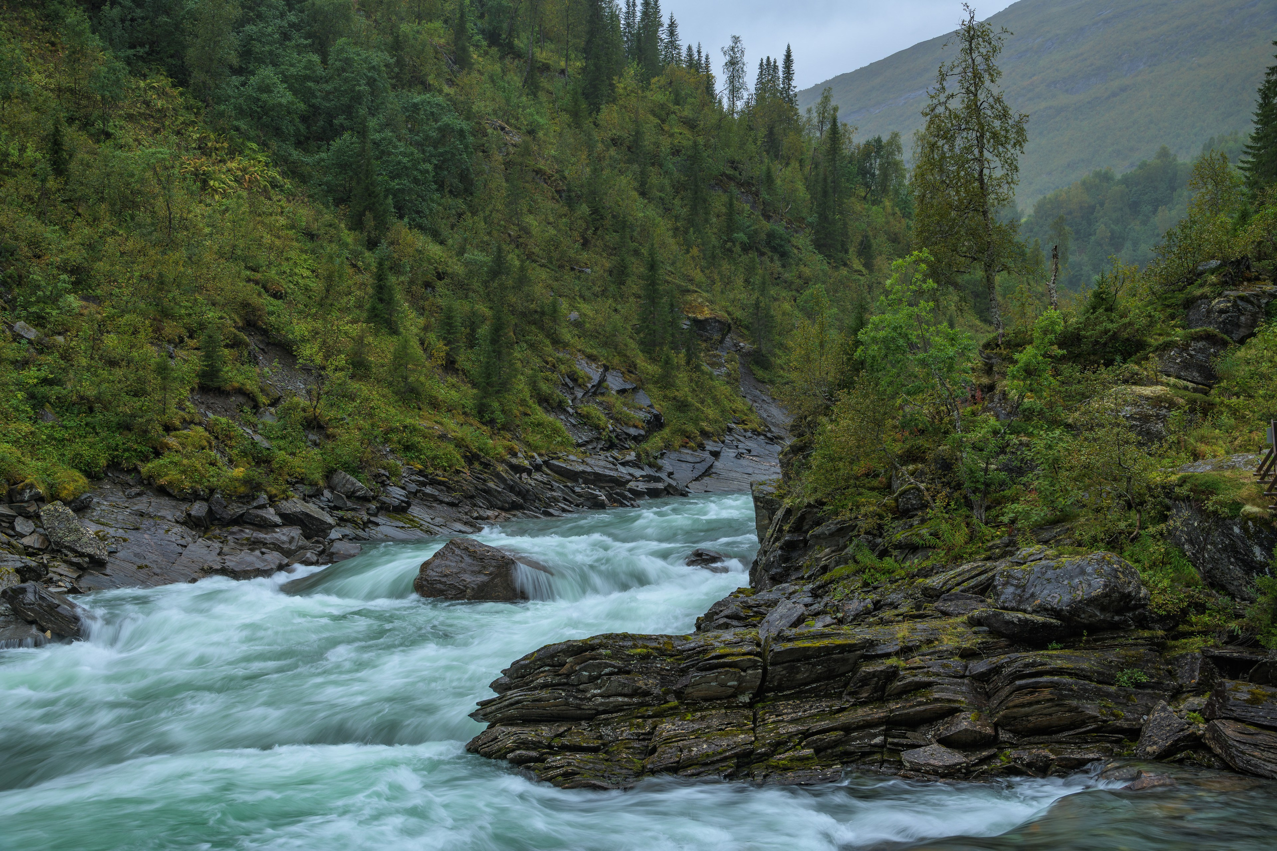 Тропа Bredekrunden. Северные Ночи