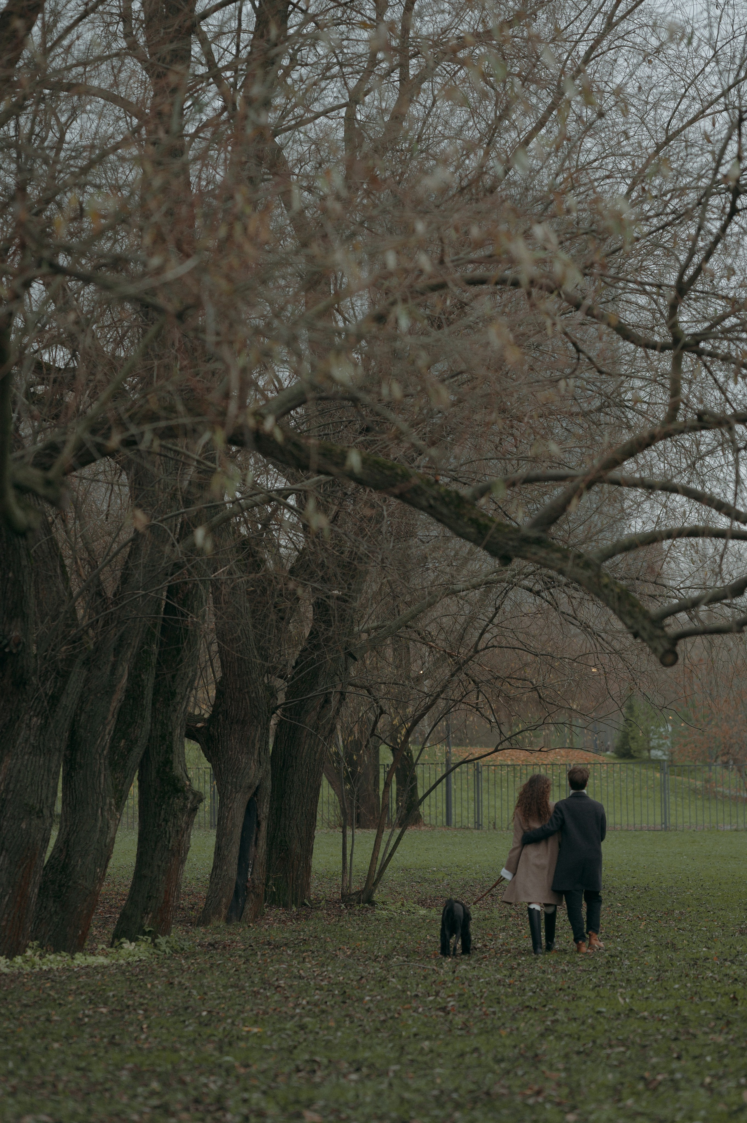 Английское настроение. Семейный, свадебный и репортажный фотограф в Москве Анастасия Светлова