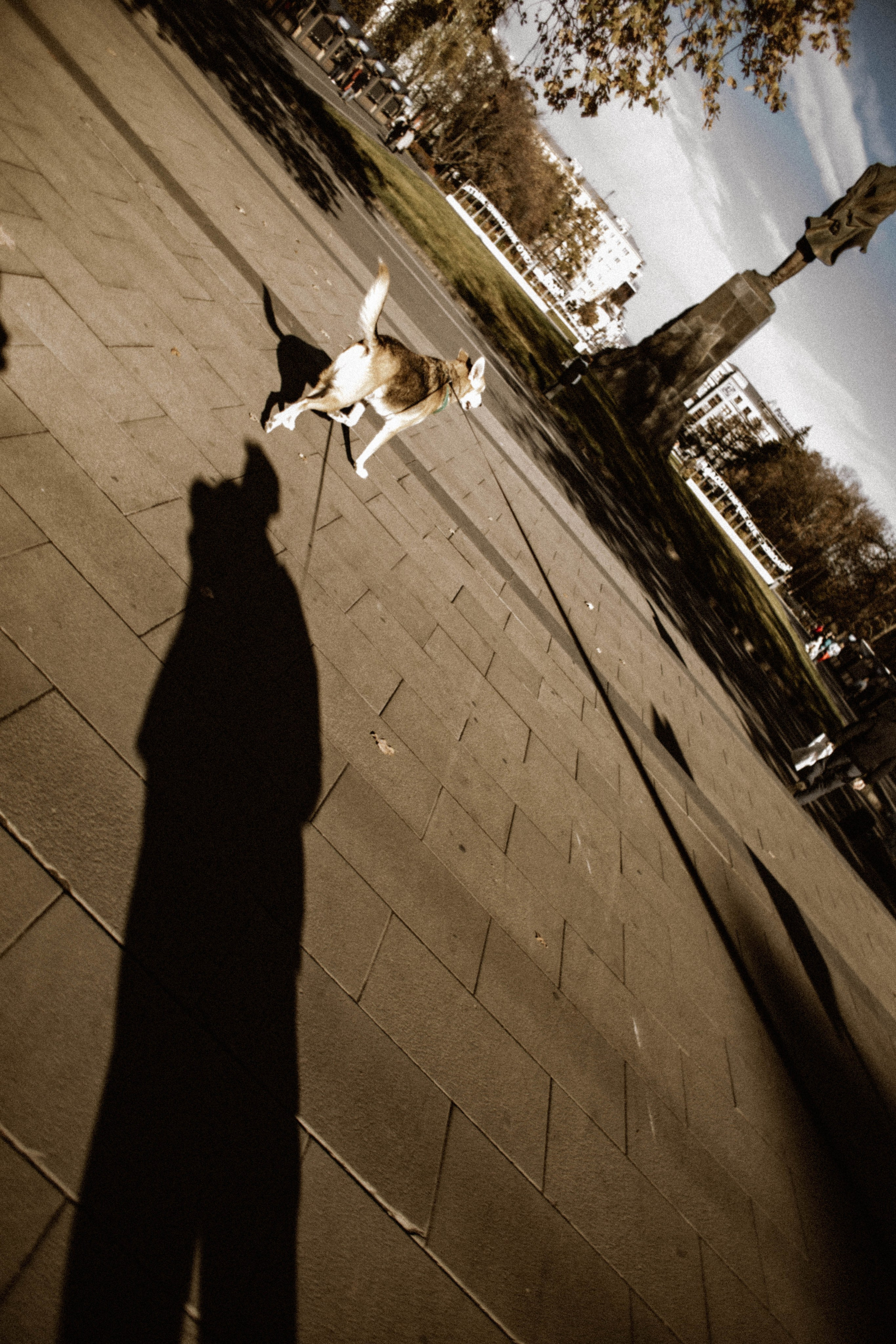 Миша. Матвей. Эмми. Фотограф в Нижнем Новгороде