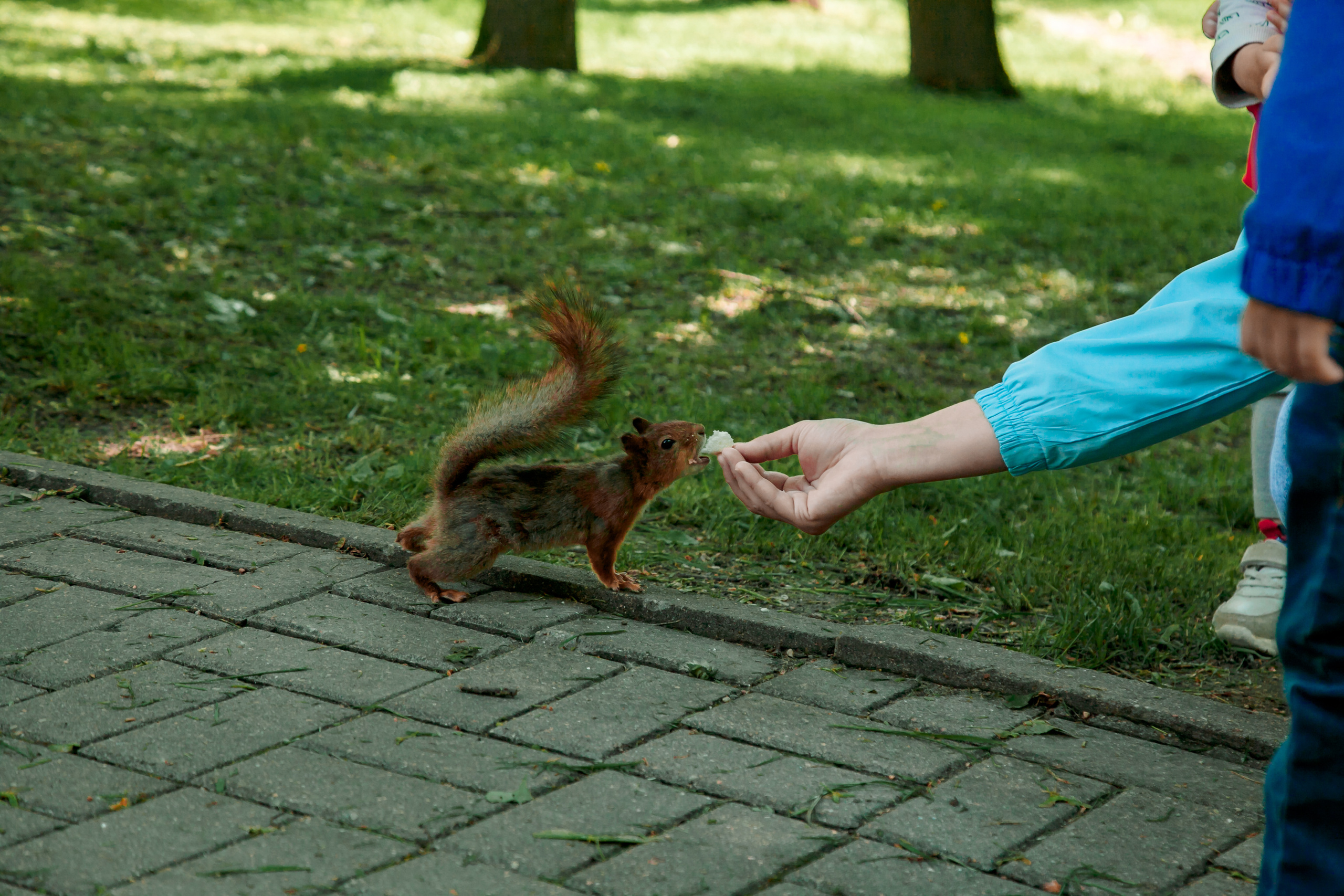 Анна и Алеся. Свадебный и семейный фотограф в Минске Духович Татьяна