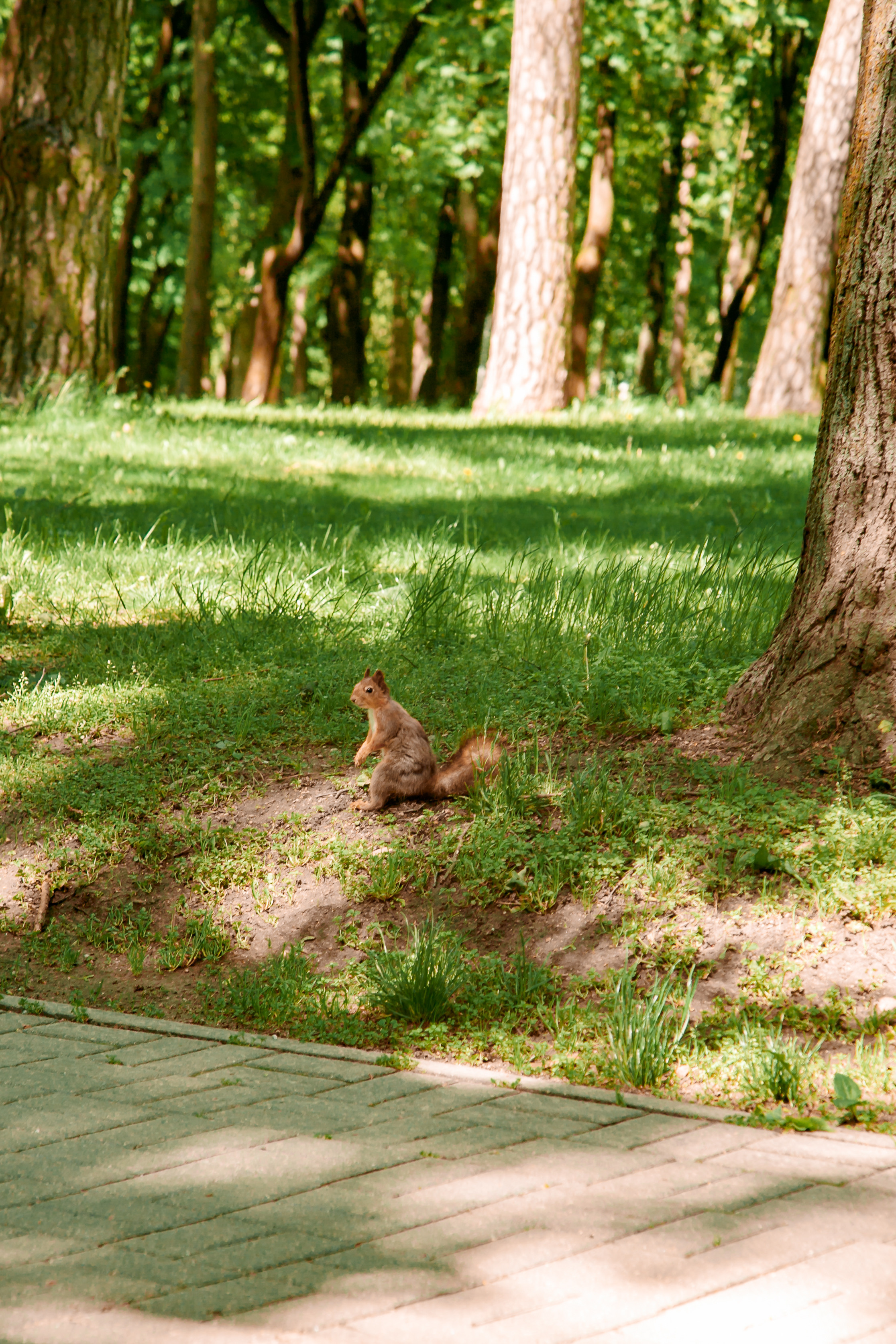 Анна и Алеся. Свадебный и семейный фотограф в Минске Духович Татьяна