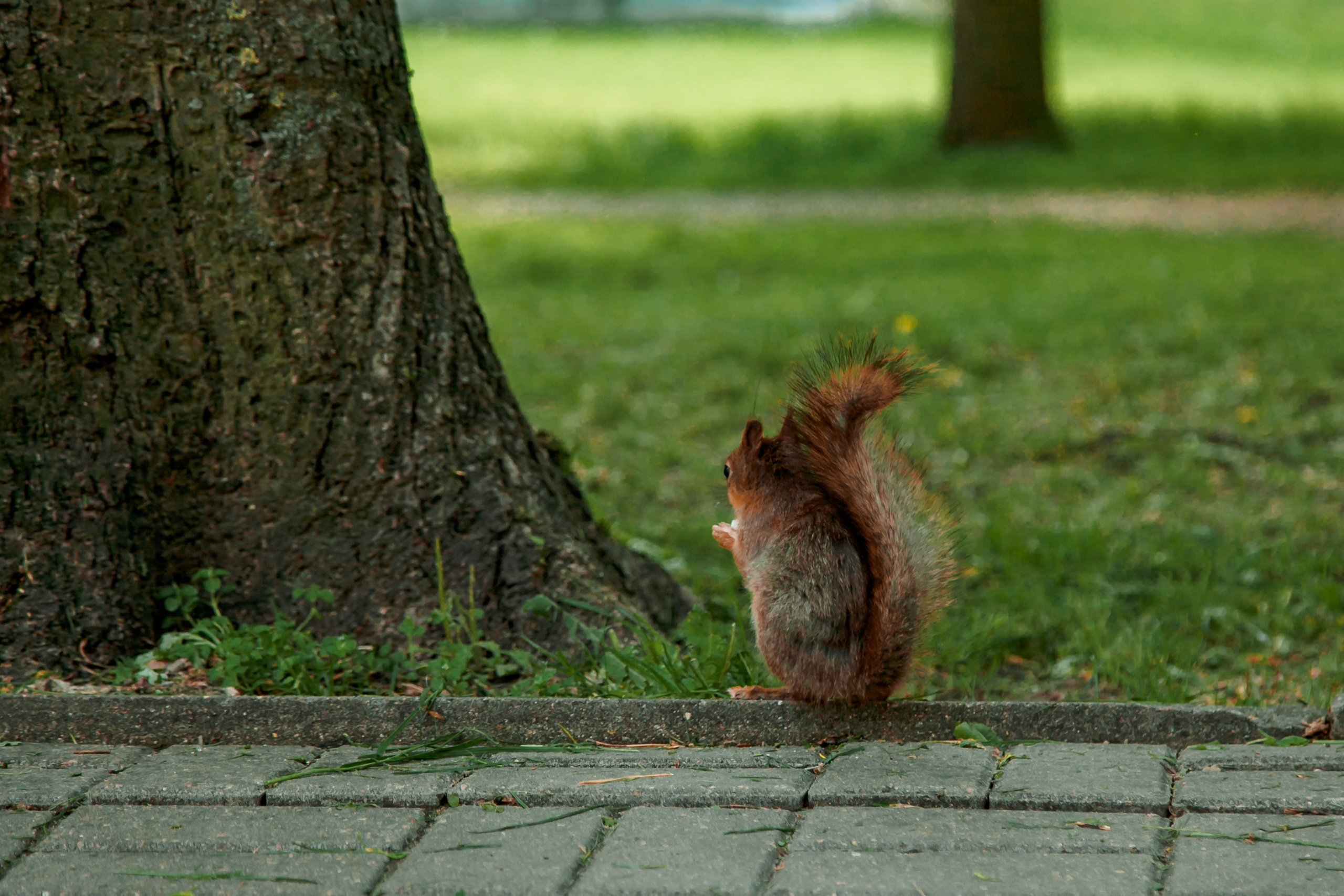 Анна и Алеся. Свадебный и семейный фотограф в Минске Духович Татьяна