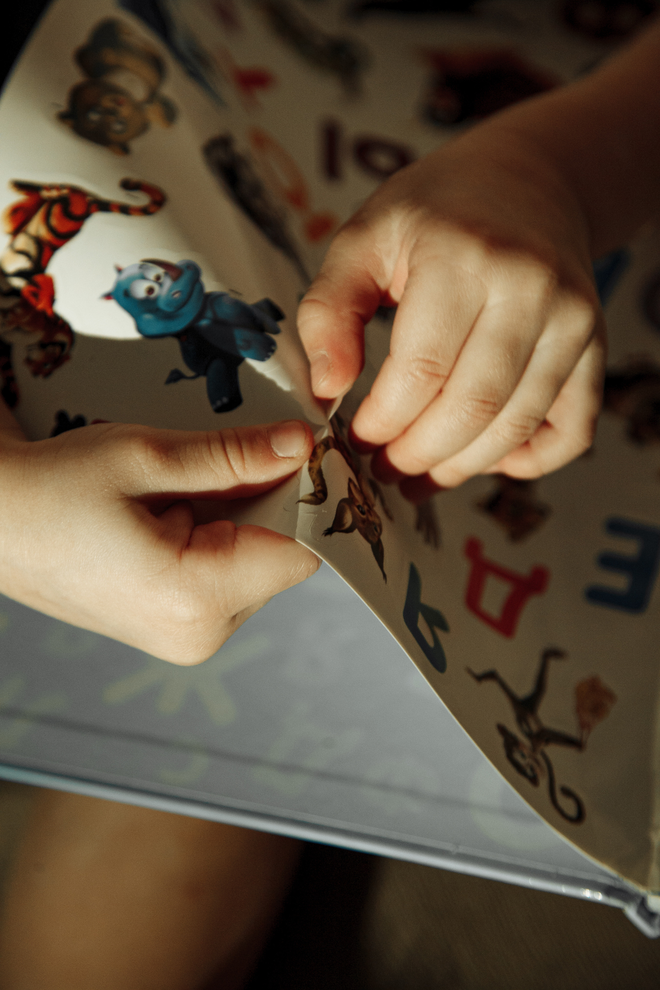 Ириша, Алиса и?. Свадебный и семейный фотограф в Минске Духович Татьяна