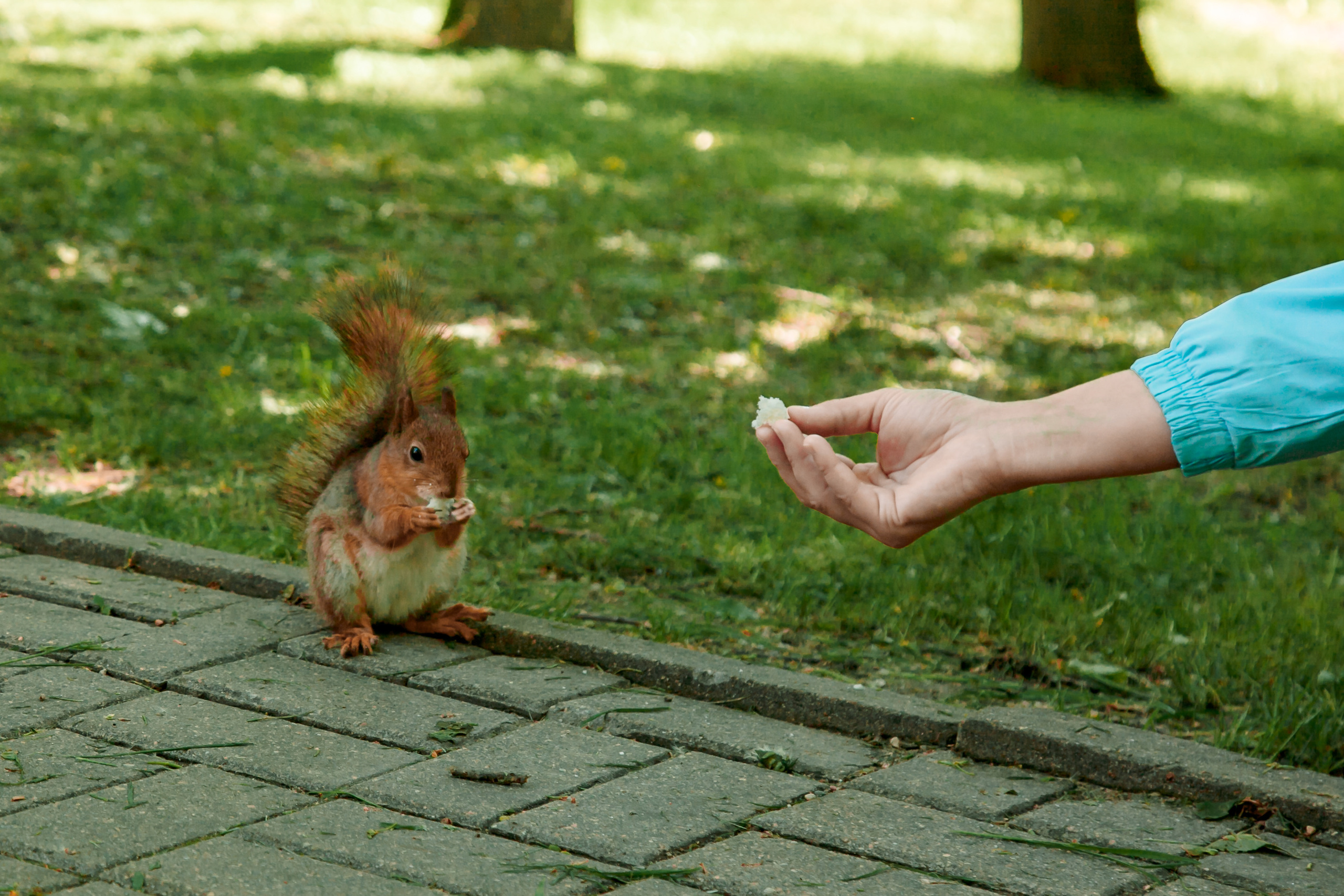Анна и Алеся. Свадебный и семейный фотограф в Минске Духович Татьяна