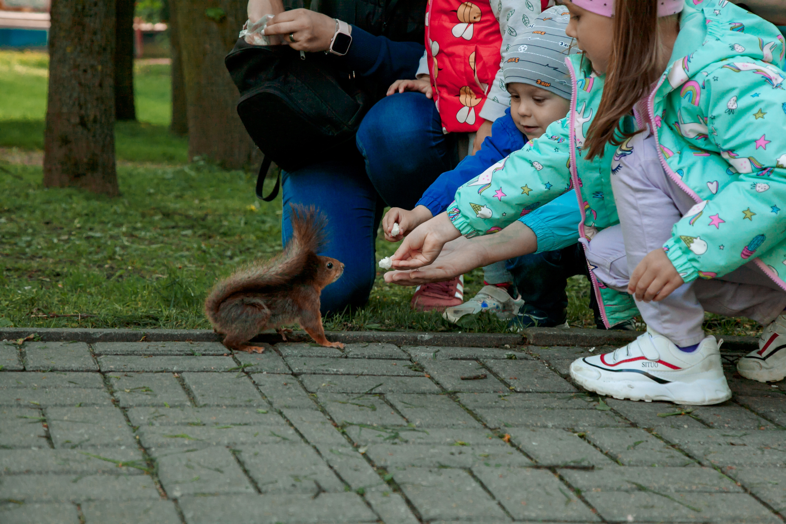 Анна и Алеся. Свадебный и семейный фотограф в Минске Духович Татьяна
