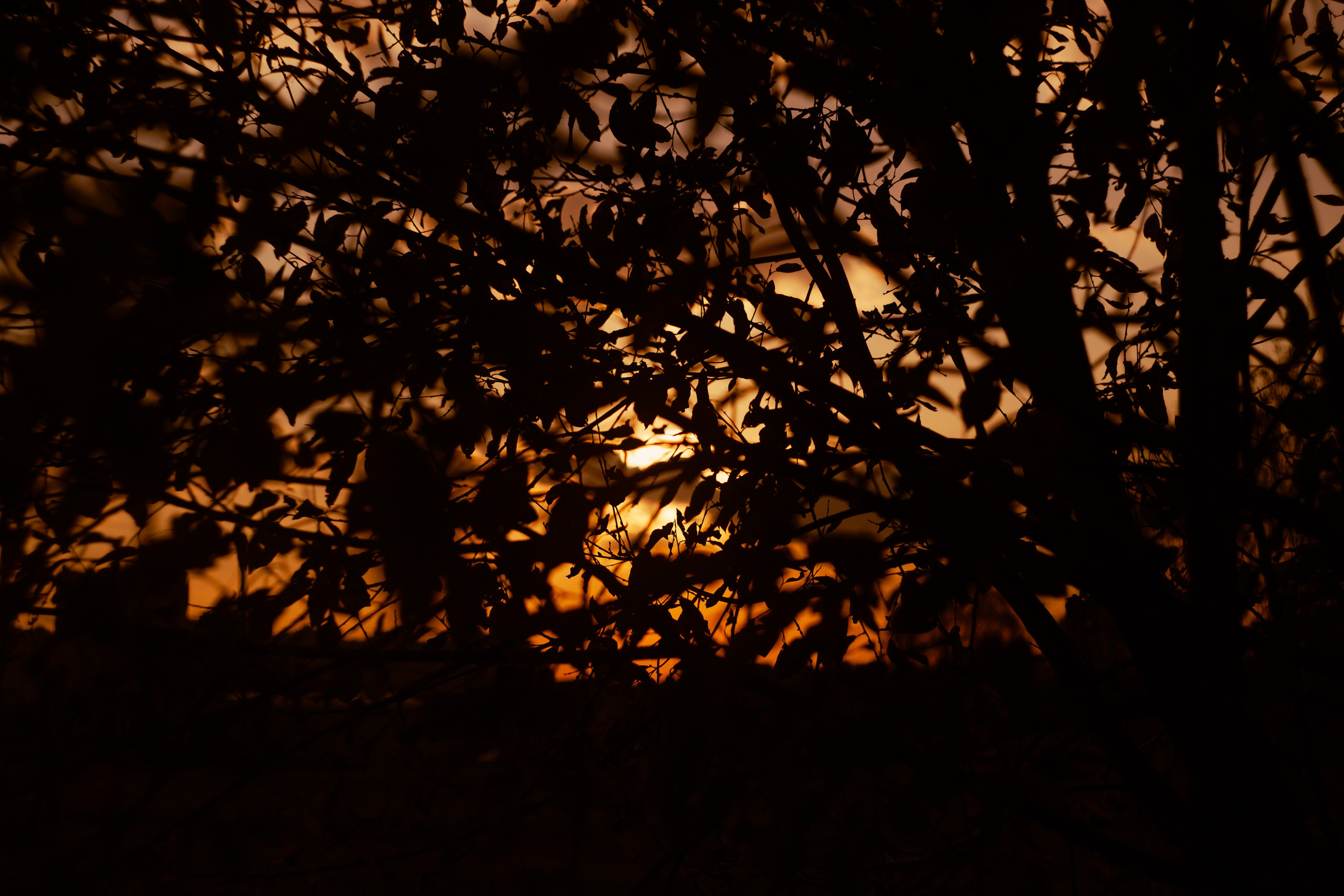 Сентябрь 2023. Efremovaphoto.ru