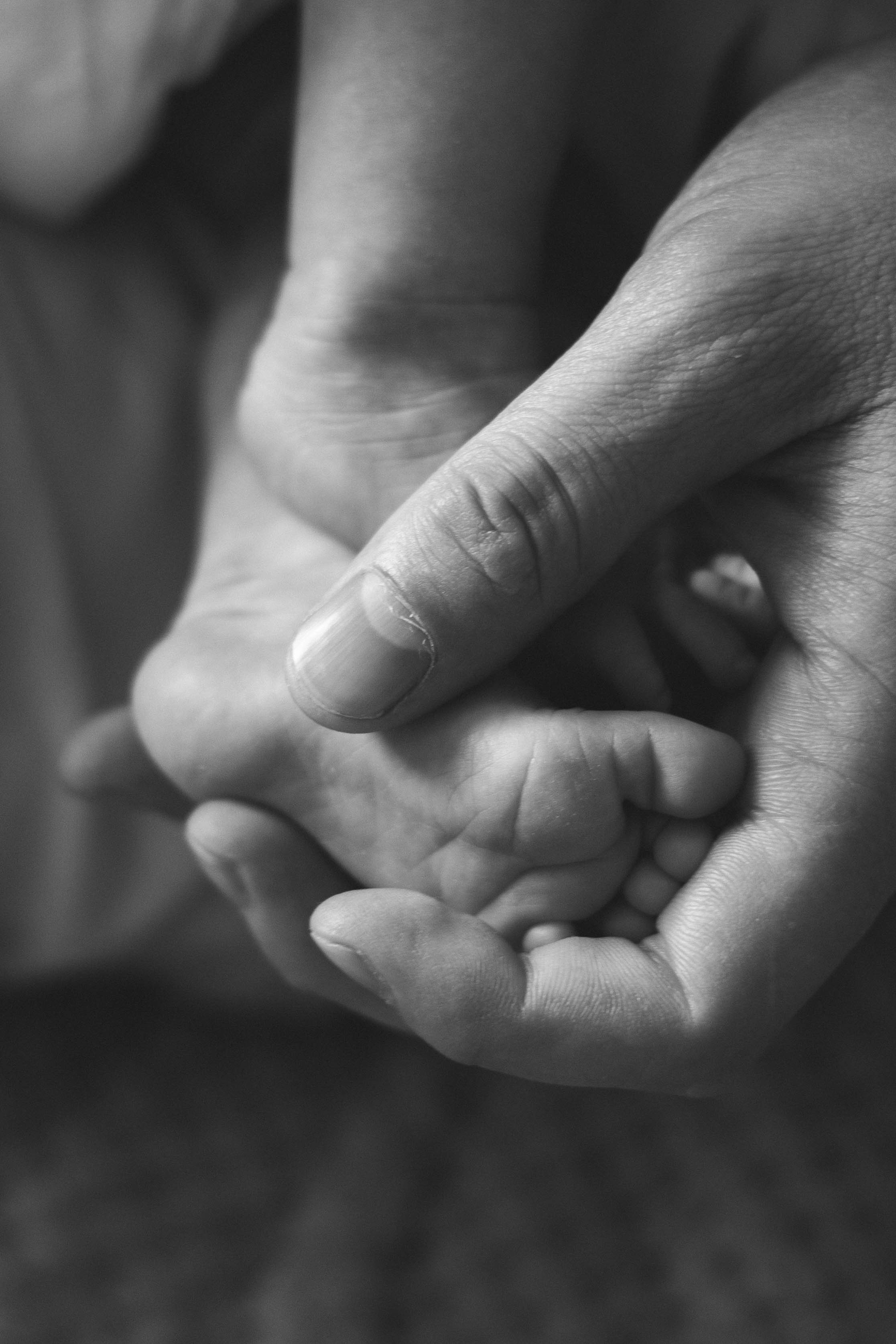 Лёша, Алина, Софа. Свадебный и семейный фотограф в Чите Юлия Оранская