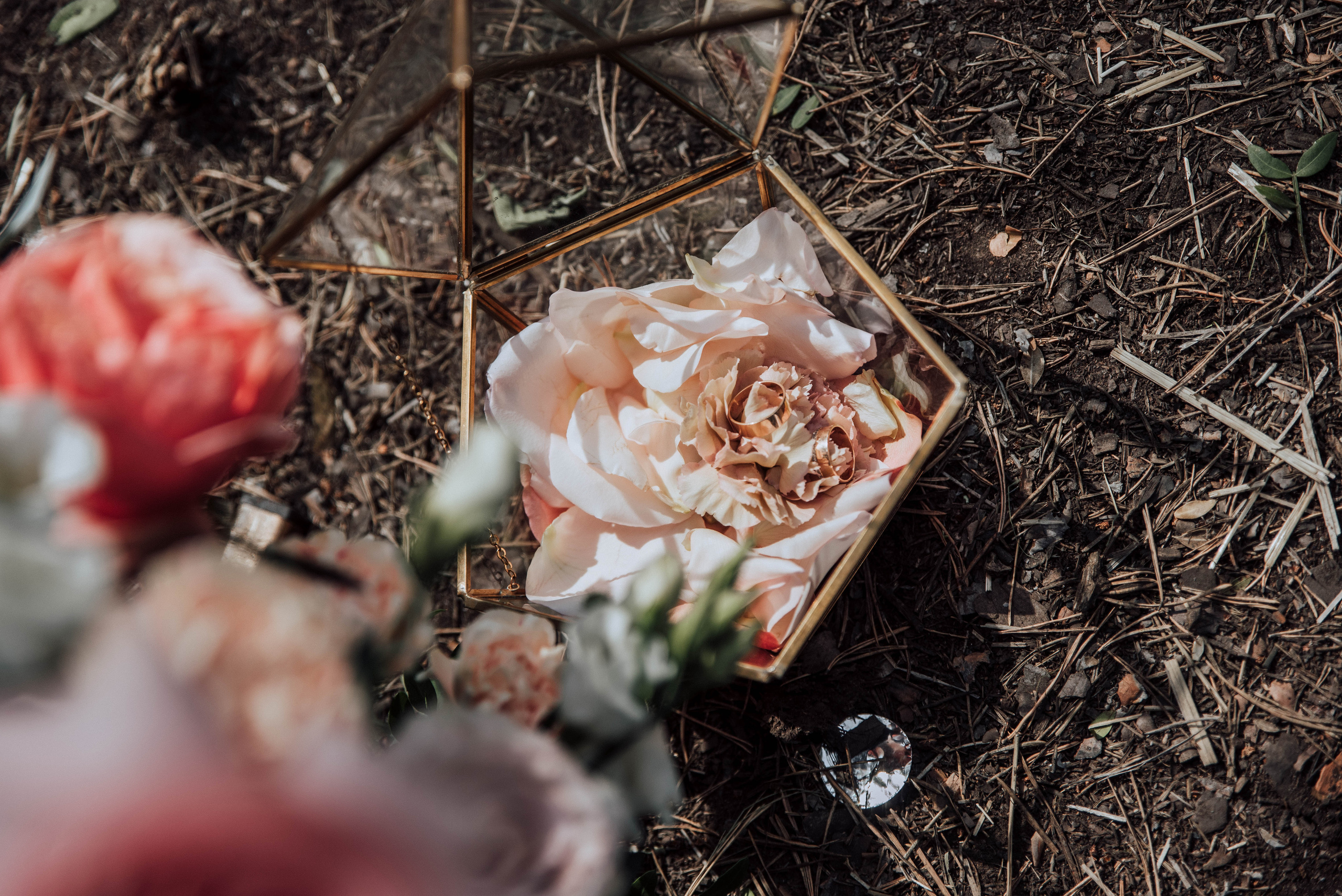 Женя и Лена. Свадебный и семейный фотограф в Чите Юлия Оранская