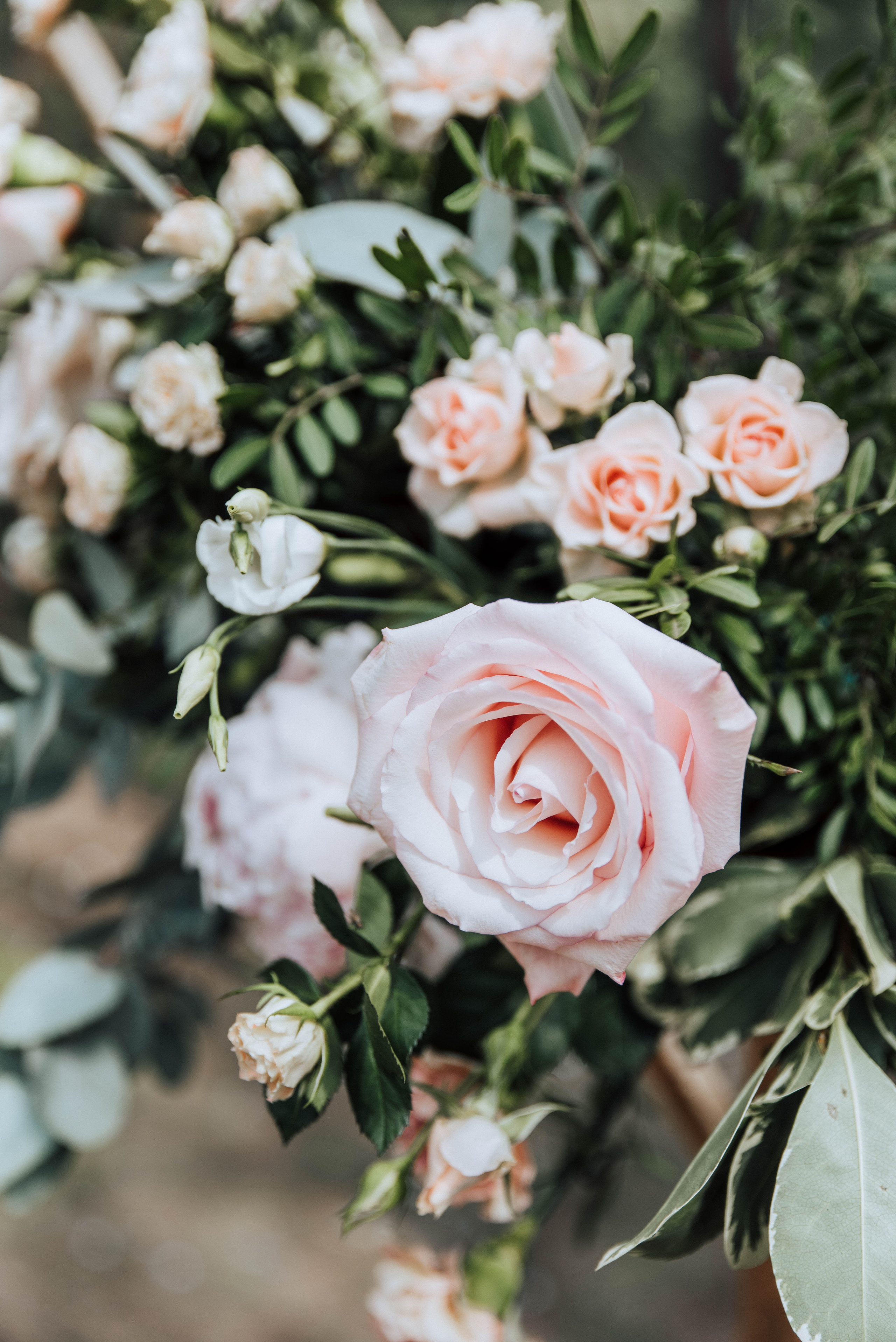 Женя и Лена. Свадебный и семейный фотограф в Чите Юлия Оранская