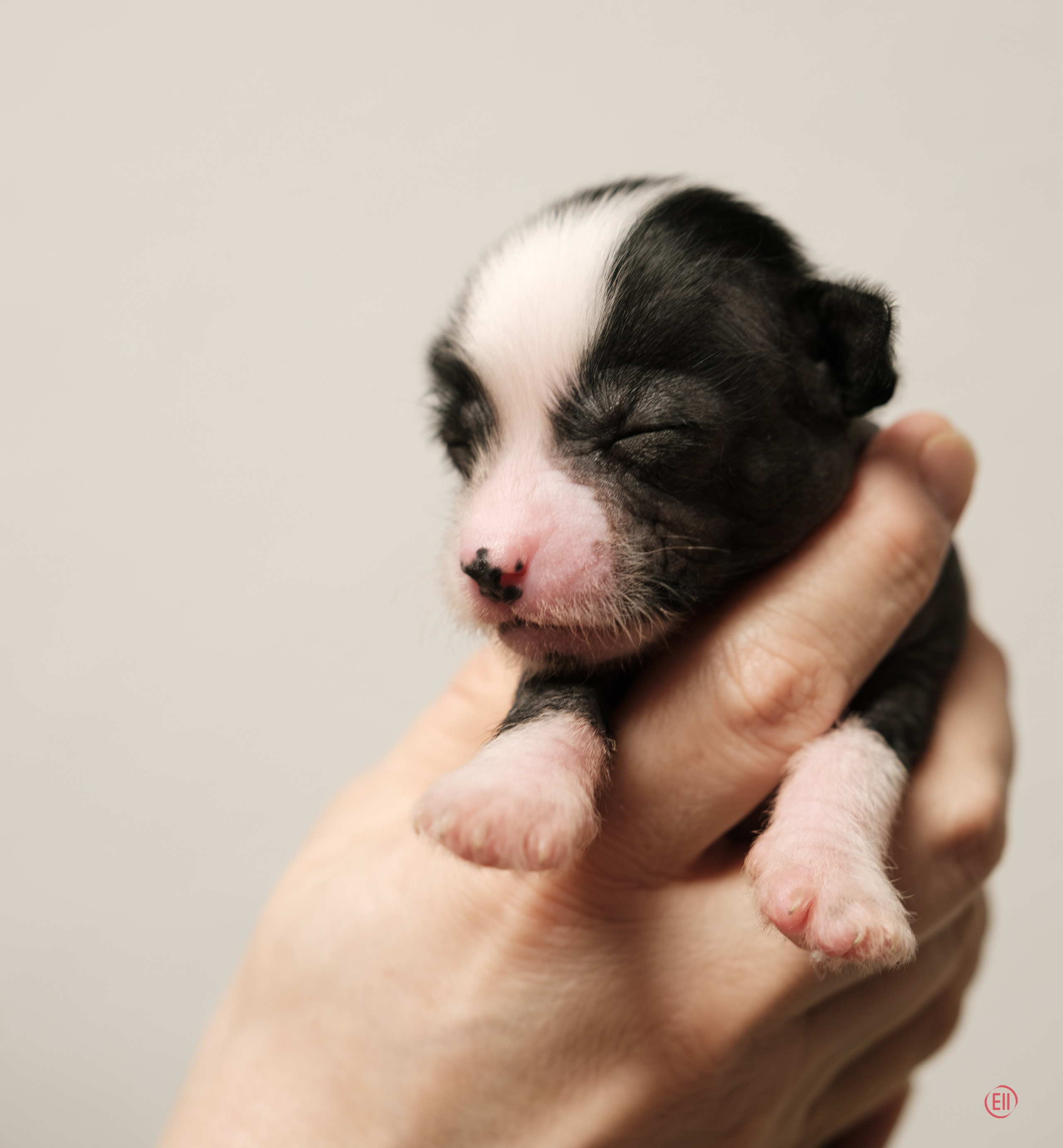 Dominika 16 дней 