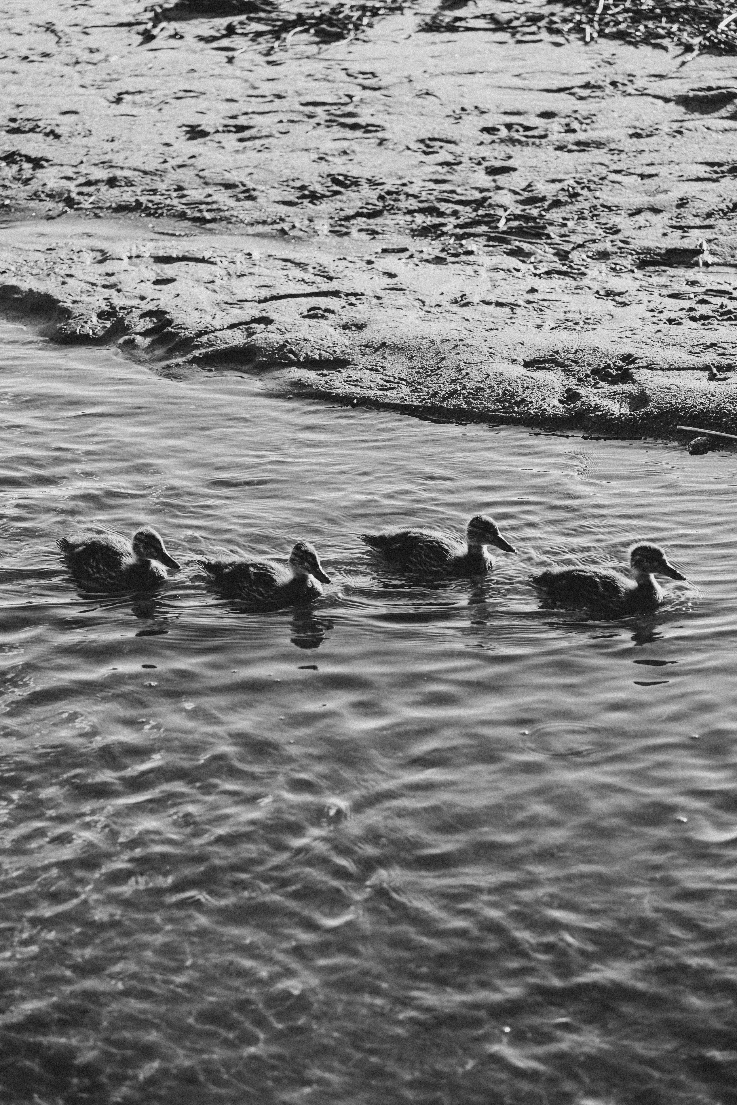 ПРОГУЛКА НА БЕРЕГУ ФИНСКОГО ЗАЛИВА. Профессиональный фотограф, Санкт-Петербург — Виктория Богомолова