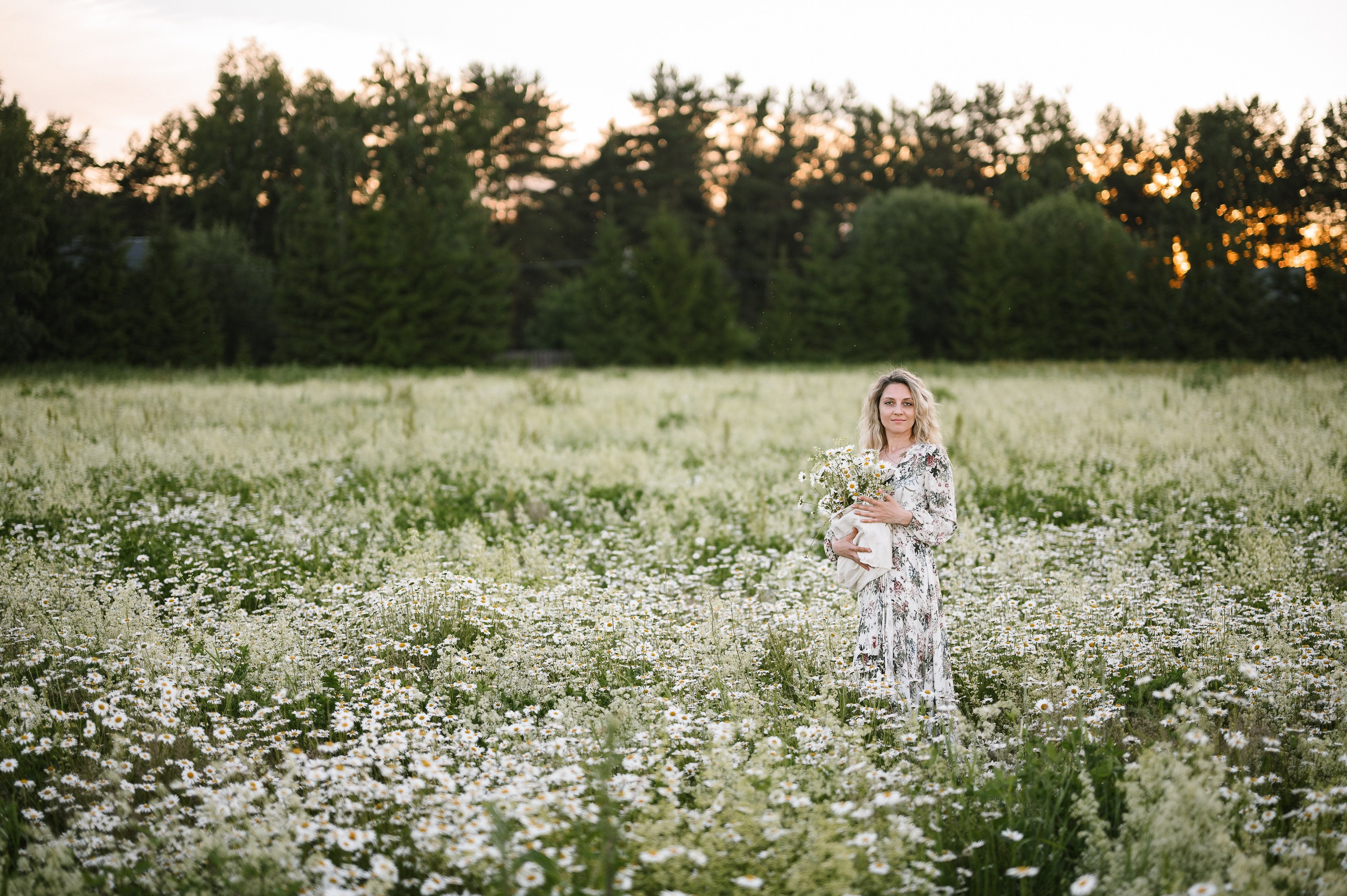 Съёмка в цветущем ромашковом поле. Semerlina.ru