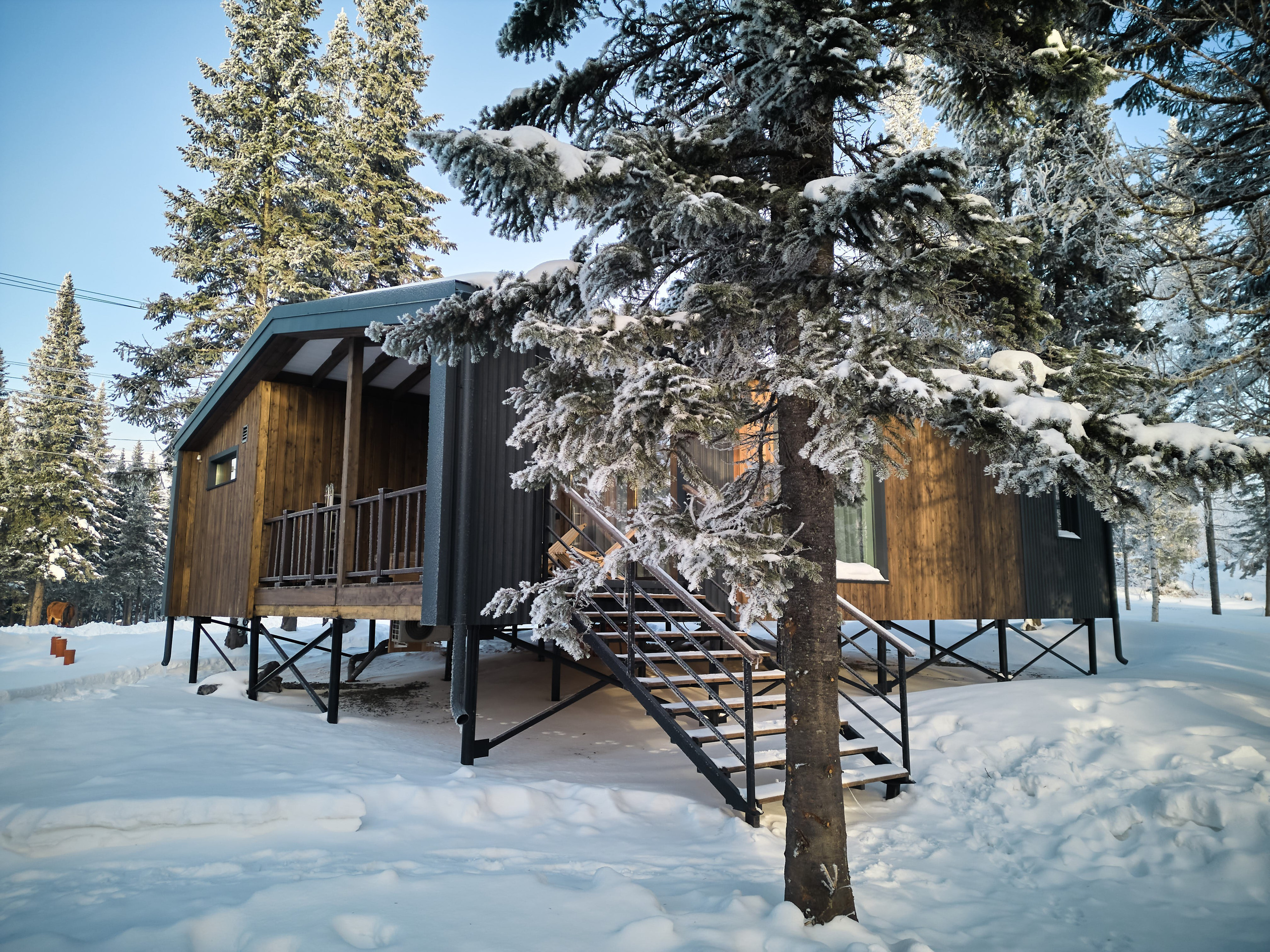 Рябиновая 8р КОПТЕР. Свадебный и семейный фотограф в Новокузнецке Иван Иванов