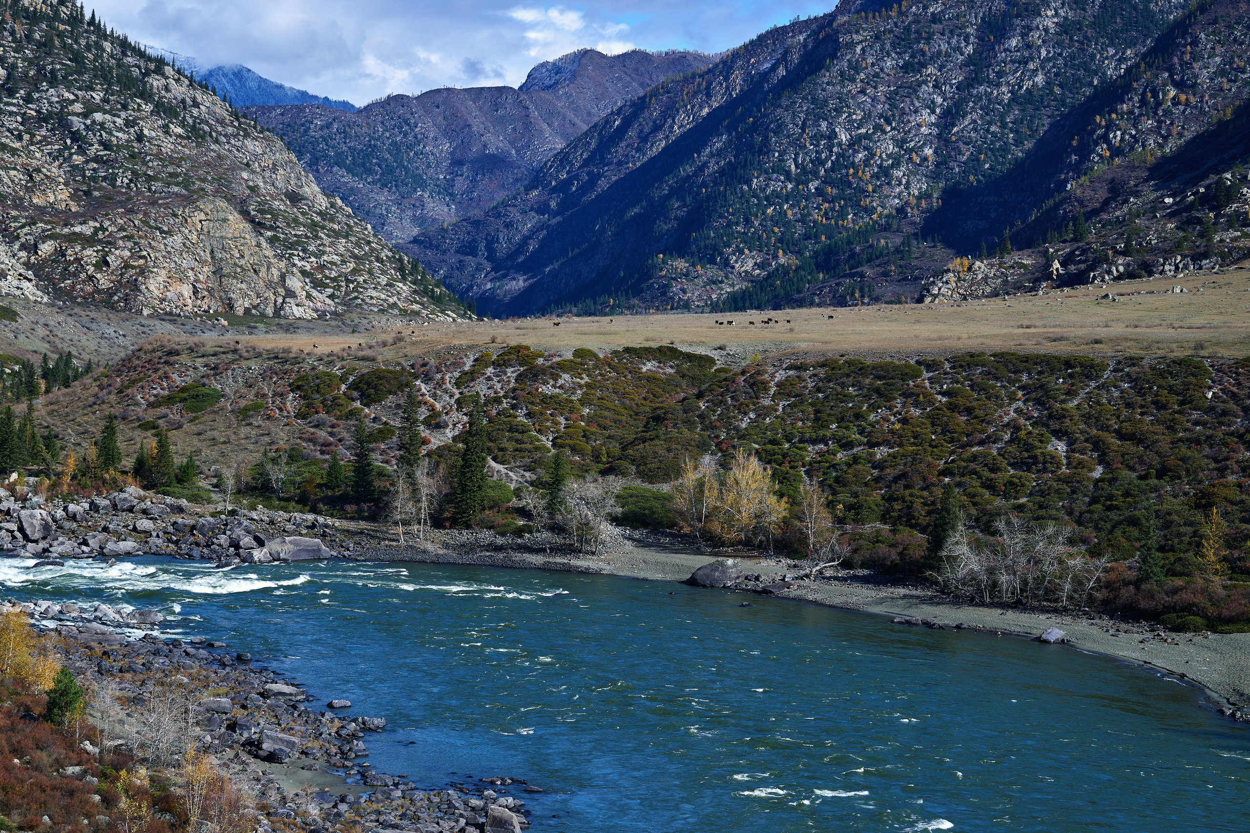 Пейзажный фотограф в Горном Алтае: съёмки природы и гор. Фотограф Опыт Качество Скорость Горный Алтай Барнаул