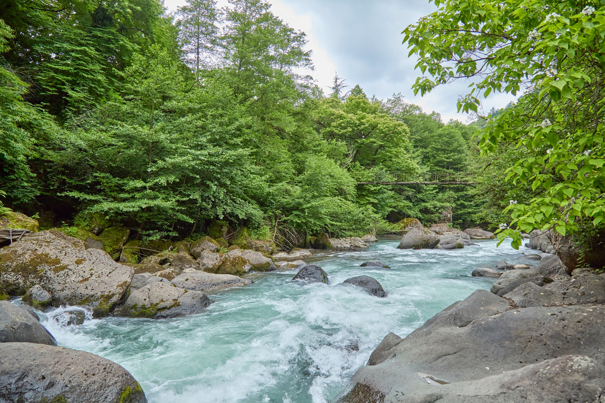 Пртретная фотосъемка в абхазии. Фотограф Абхазия
