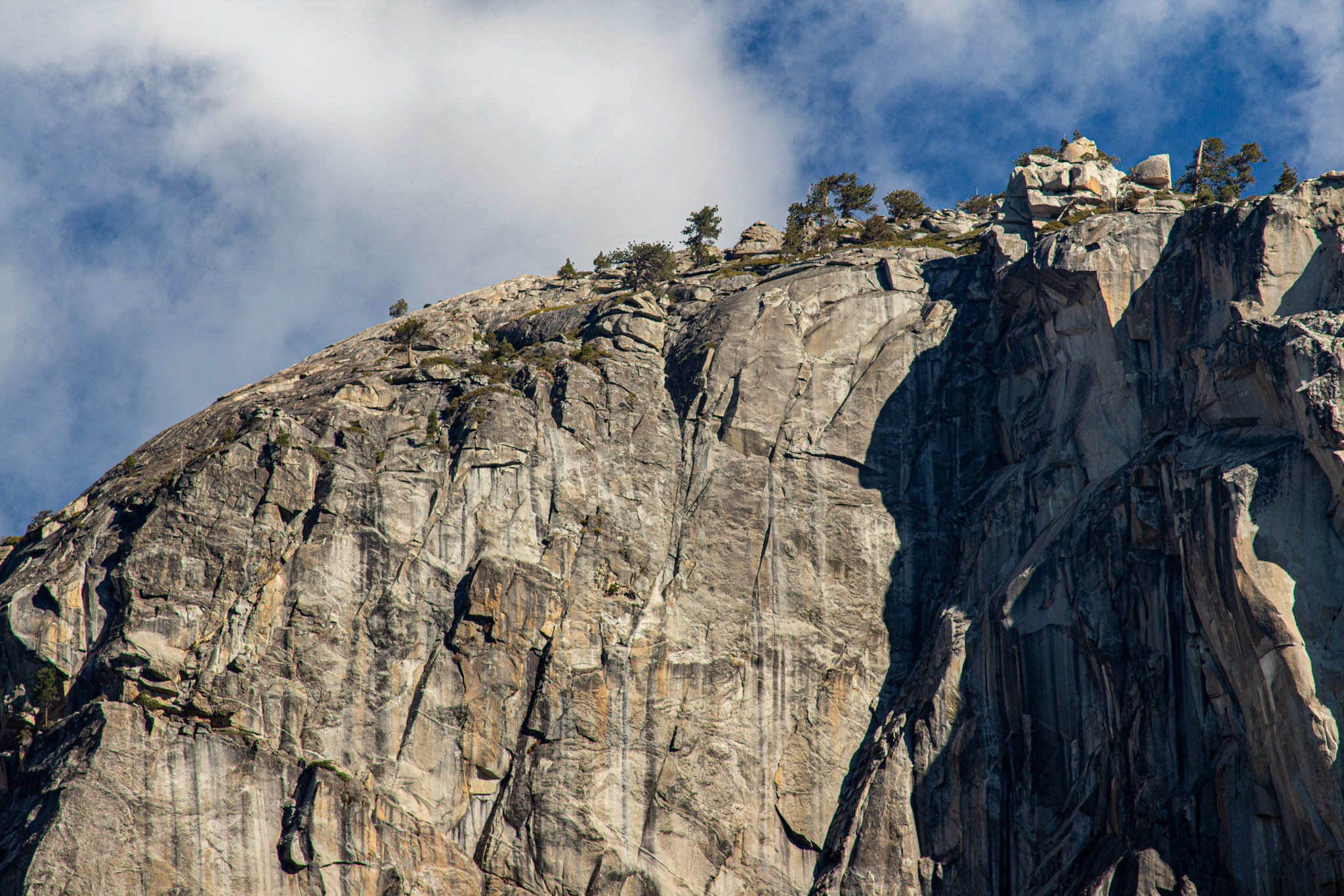 Парк Yosemite, США, 2013. Фотограф Василий Буланов