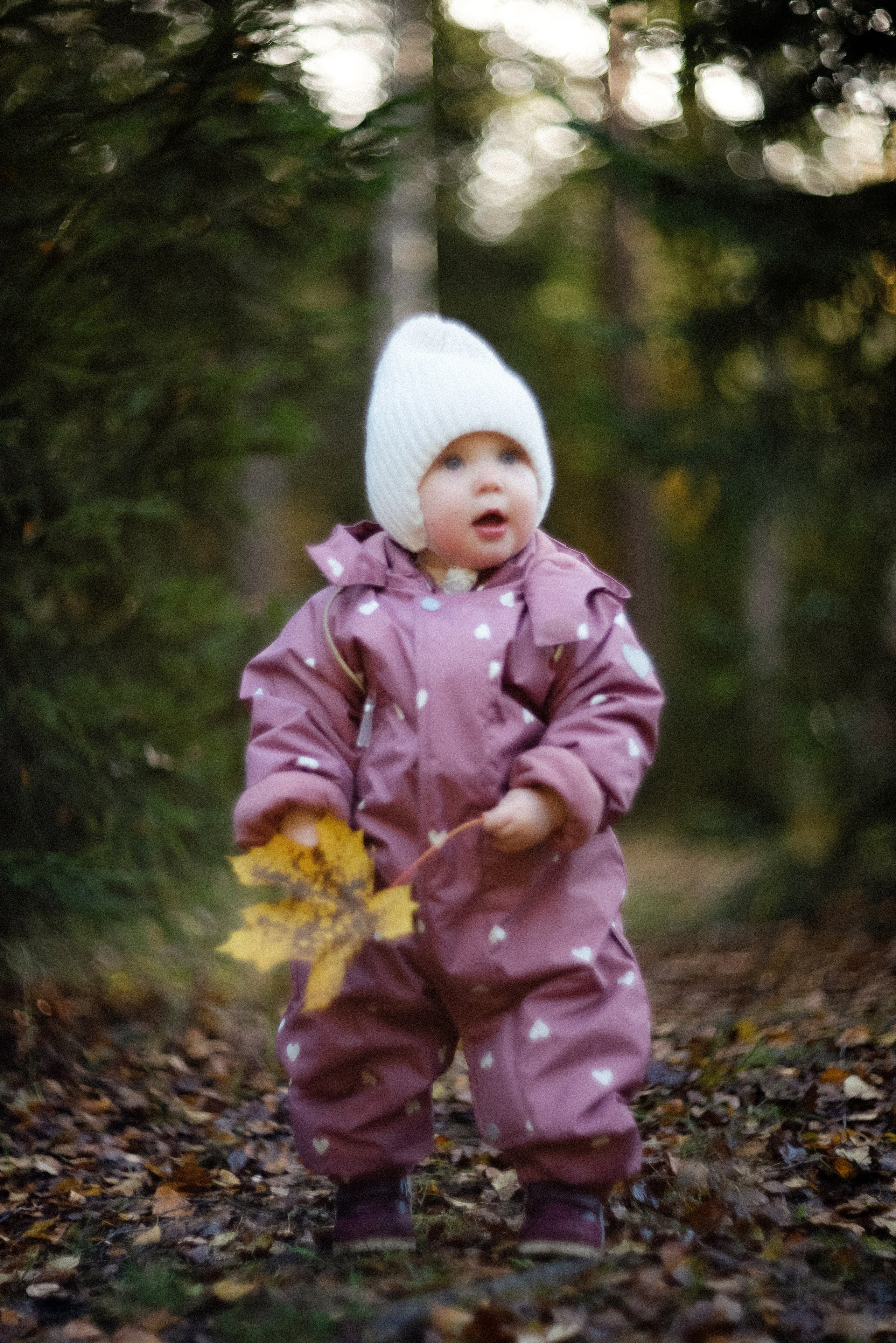 Alena | Mira | Kostya. Свадебный фотограф Санкт-Петербург DanyaPhotoart
