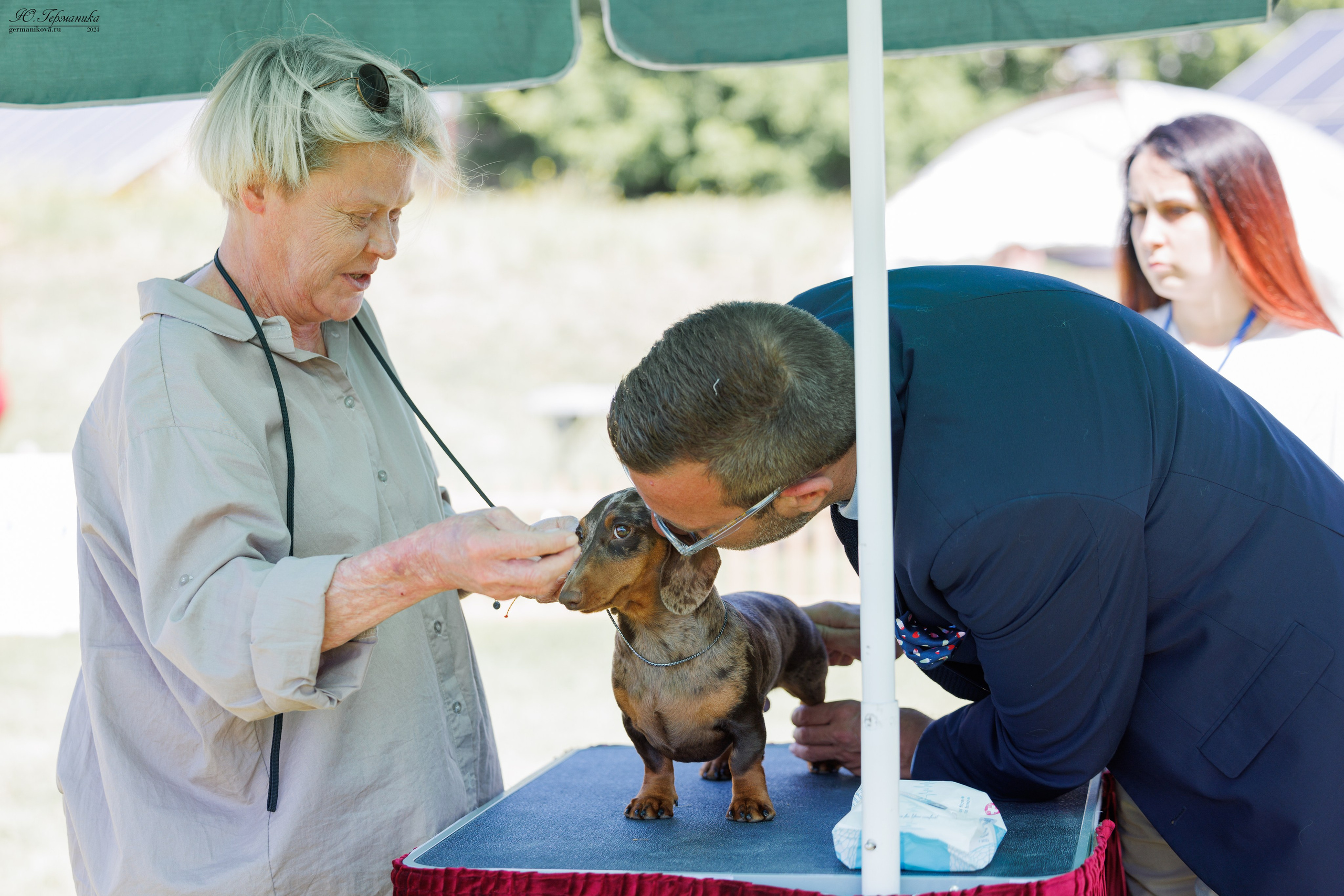 Ереван 3-5.06.2024. Фотограф-анималист Юлия Германика