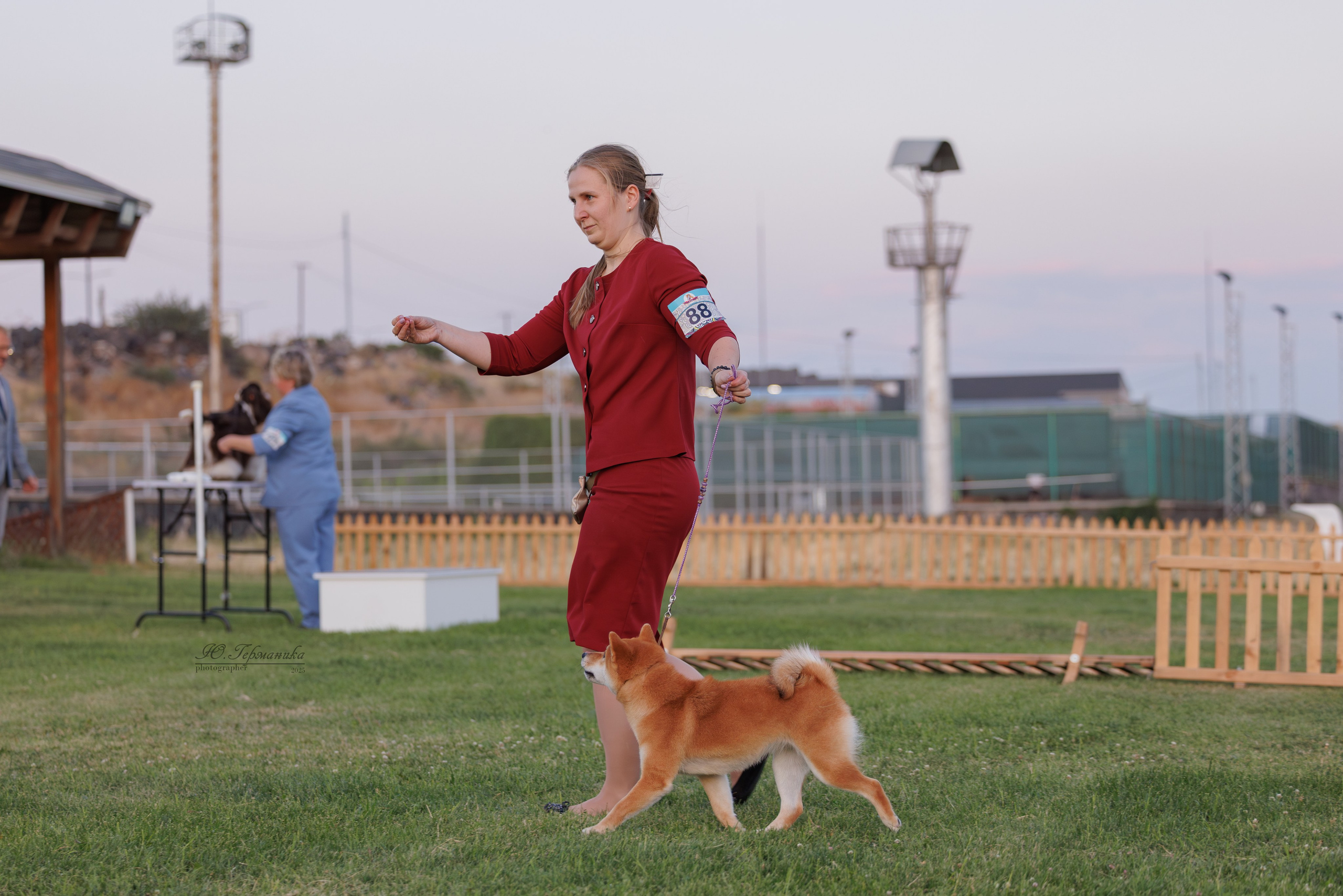 Ереван 3хCACIB 23-25.06.2025. Фотограф-анималист Юлия Германика