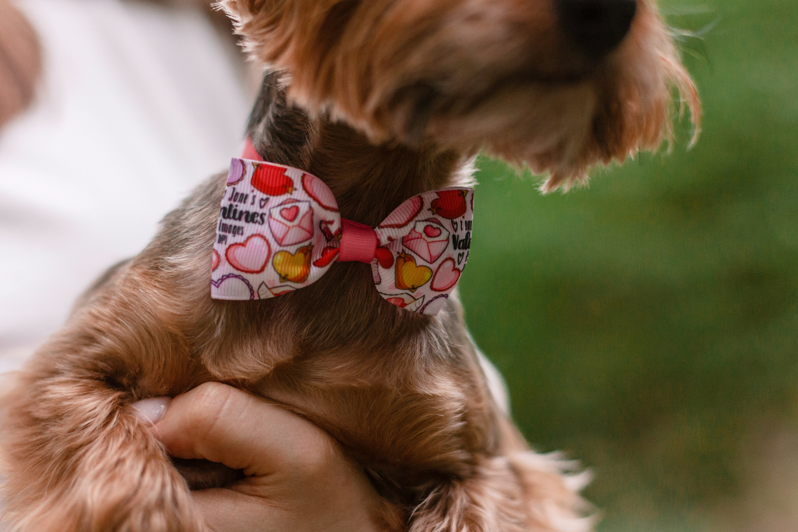 Катя и Моня. Фотограф-анималист Татьяна Степанова