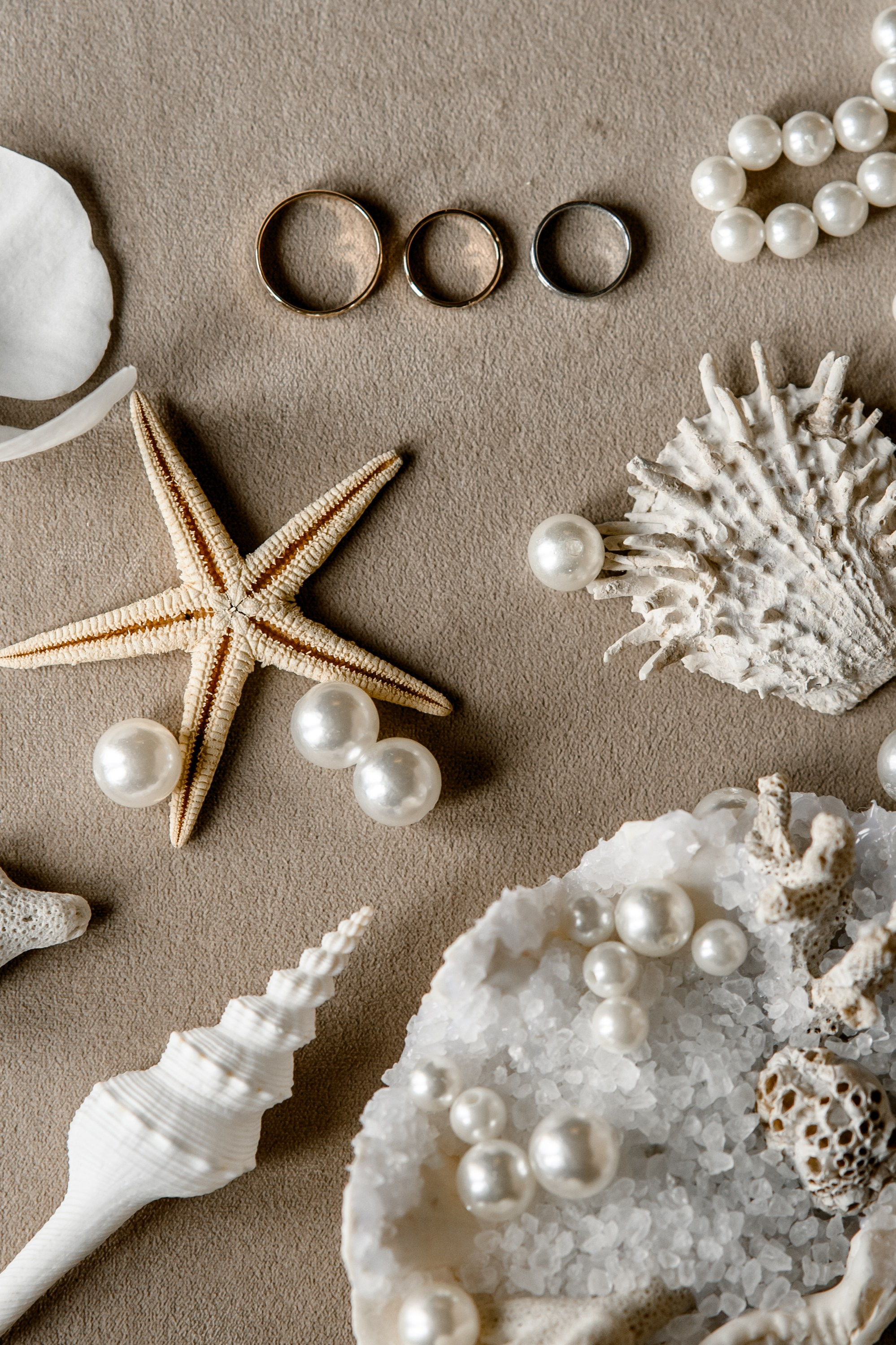 ХВОЯ МОРСКАЯ. Свадебный  фотограф Новосибирск