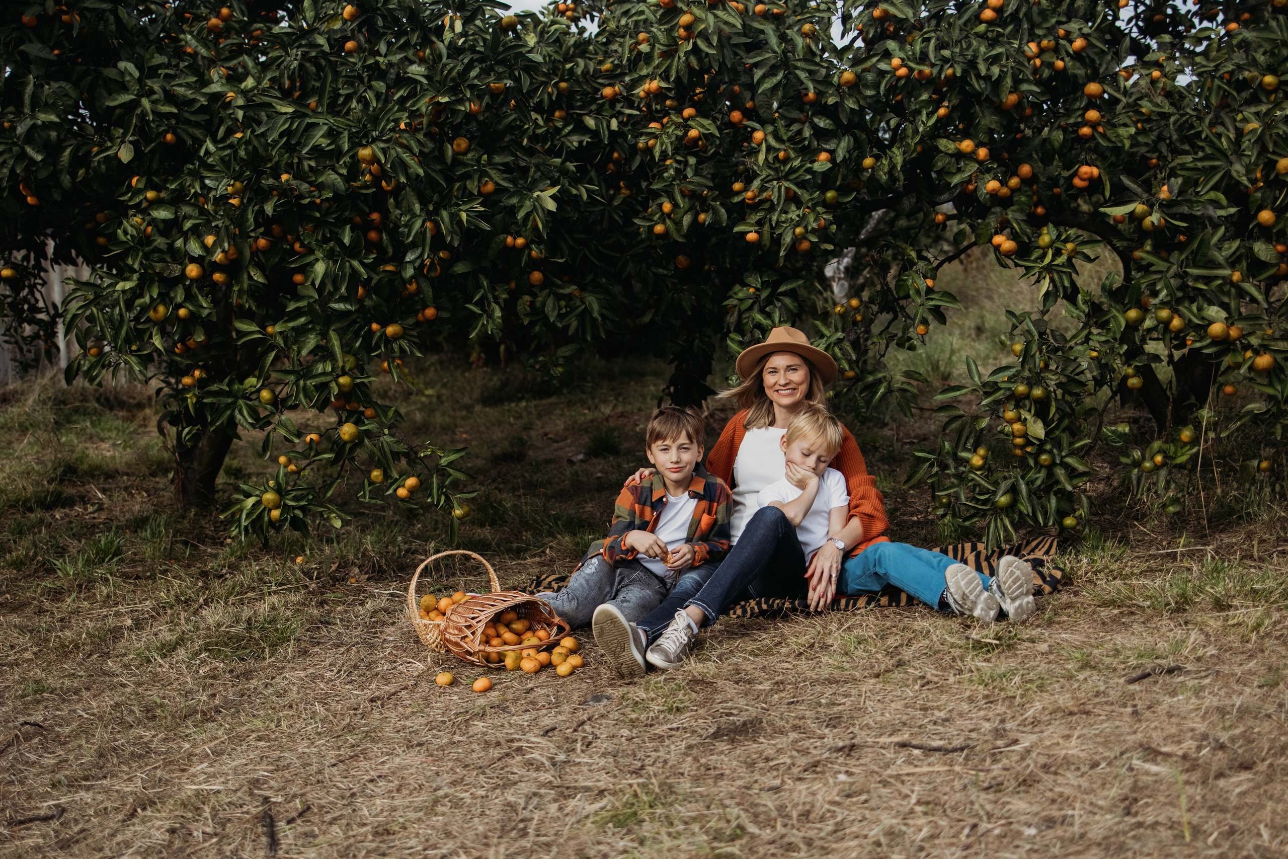 Мандариновая роща. Фотограф Сочи Татьяна Зорина