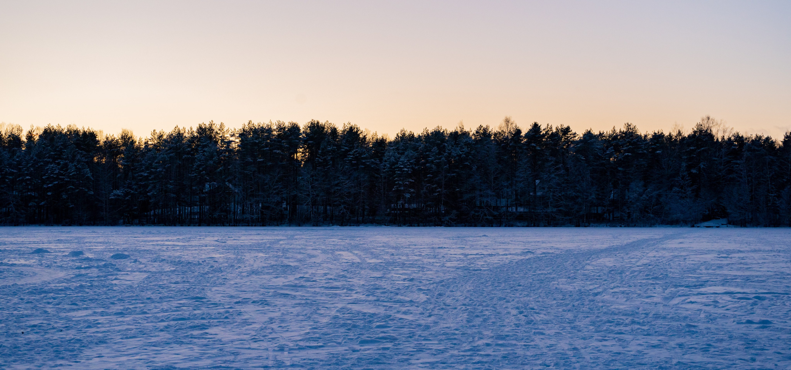 Разное. Фотограф в Санкт-Петербурге Виктория Барышникова