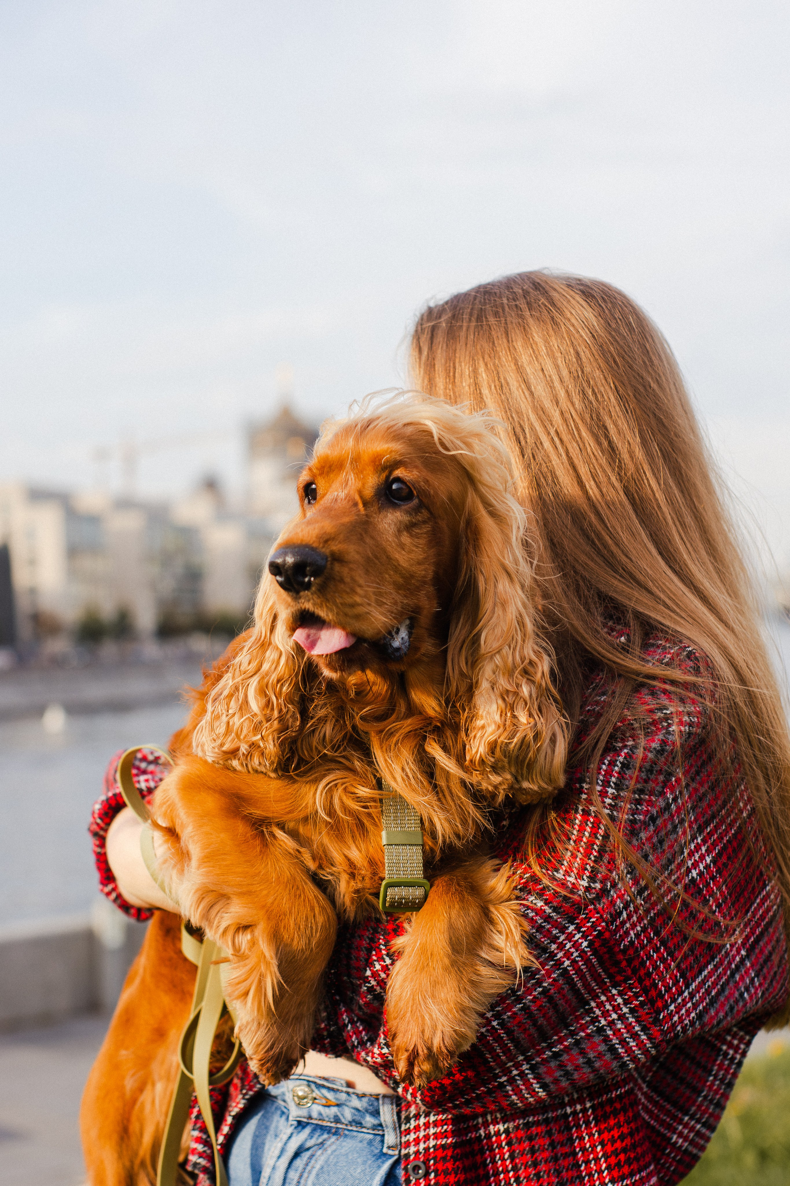 Арина, Паша и Арчер. Фотограф-анималист Мария Баркевич | Москва