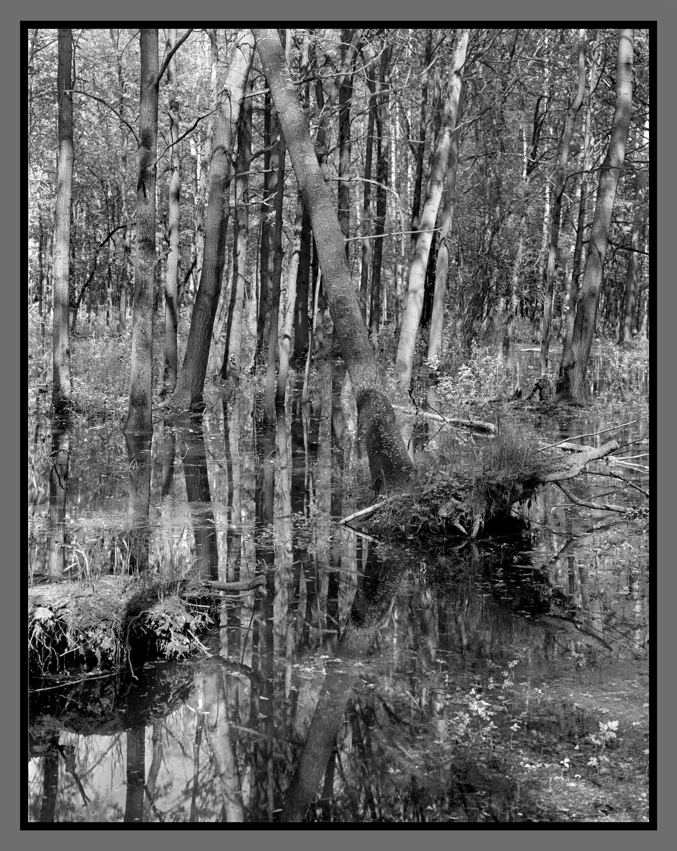 Author’s photo works in the ambrotype technique! Analog photography. Sergey Kondriuk art-photographer | artist