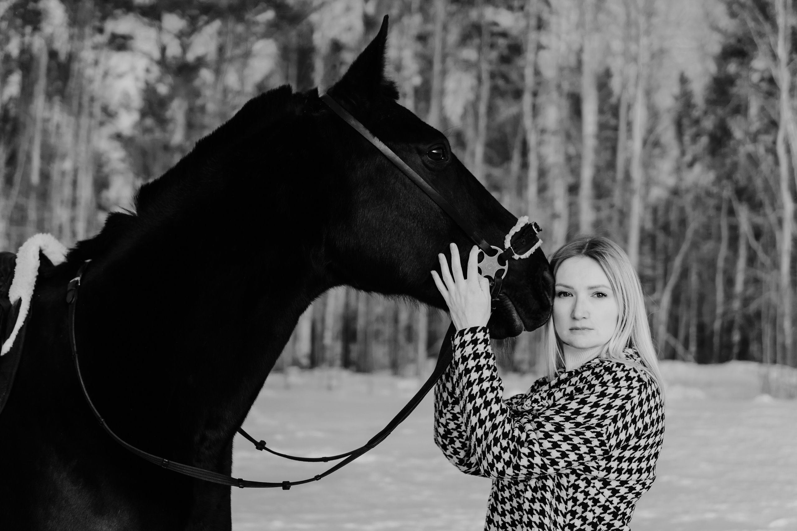 Life with horse. Saamill