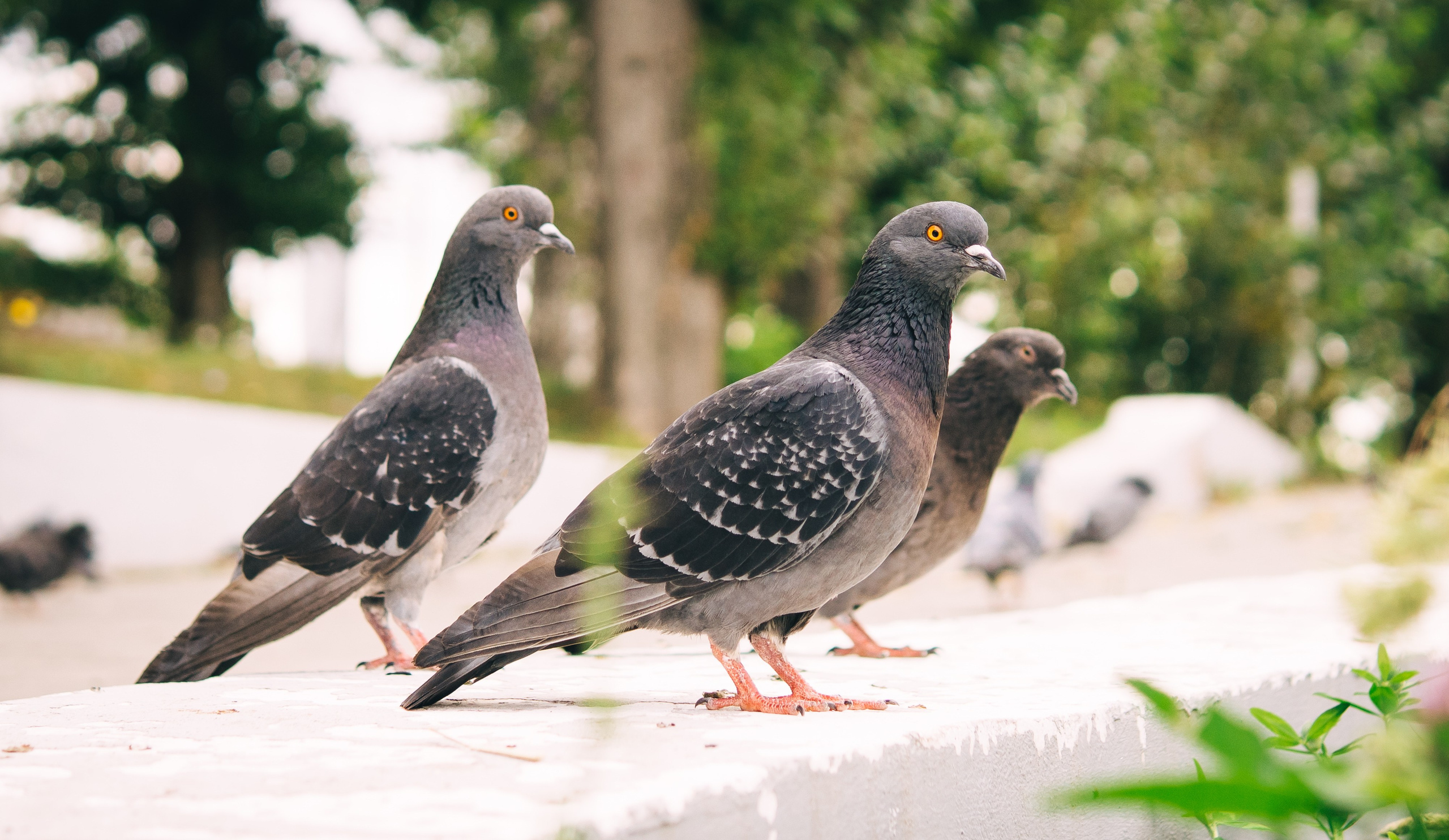 Настя и Катя. Семейный и LifeStyle фотограф в Жигулевске и Тольятти Рустам Ханмурзин