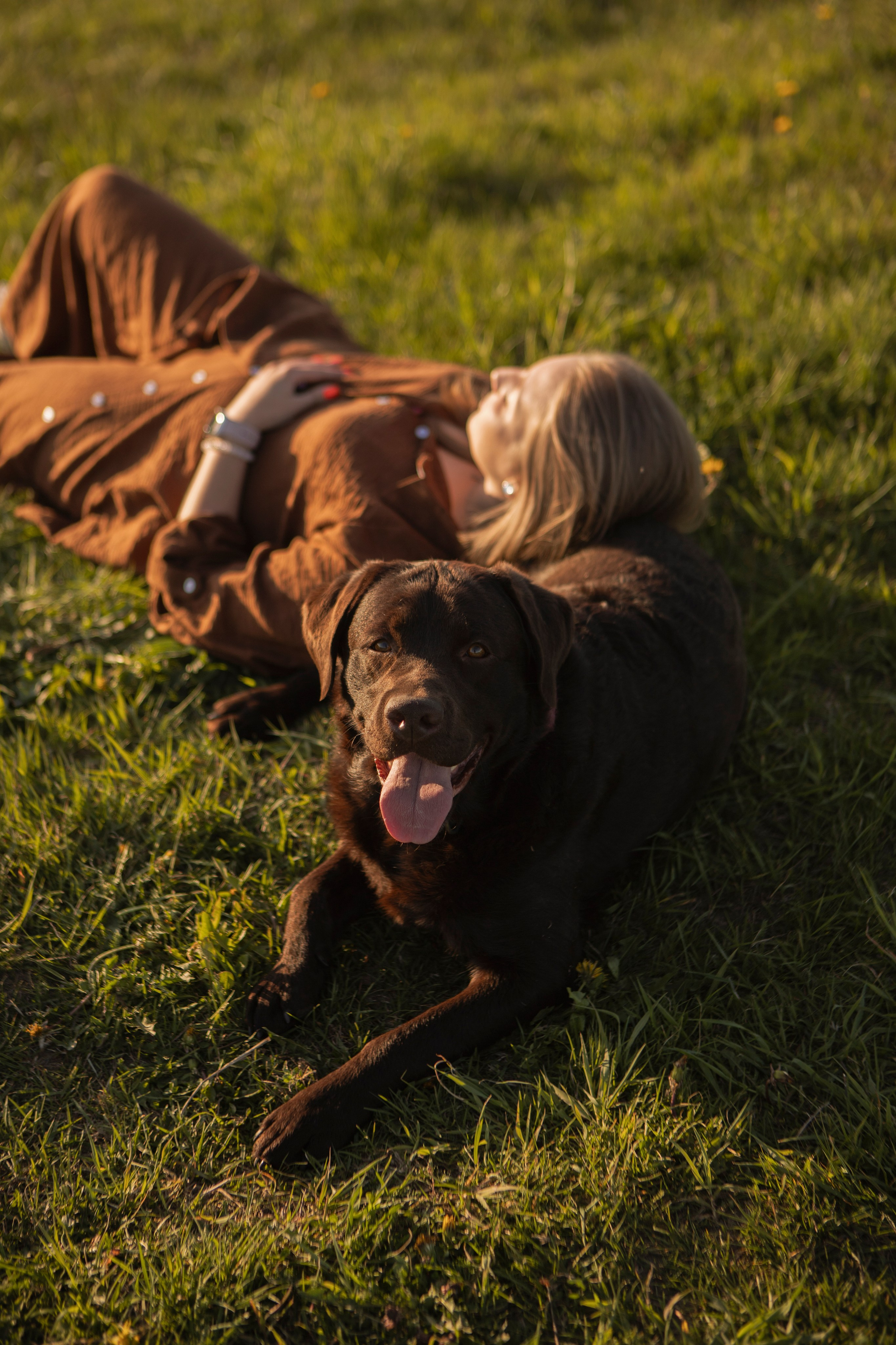 Закатная. Фотограф-анималист в Санкт-Петербурге Алина Яхонт