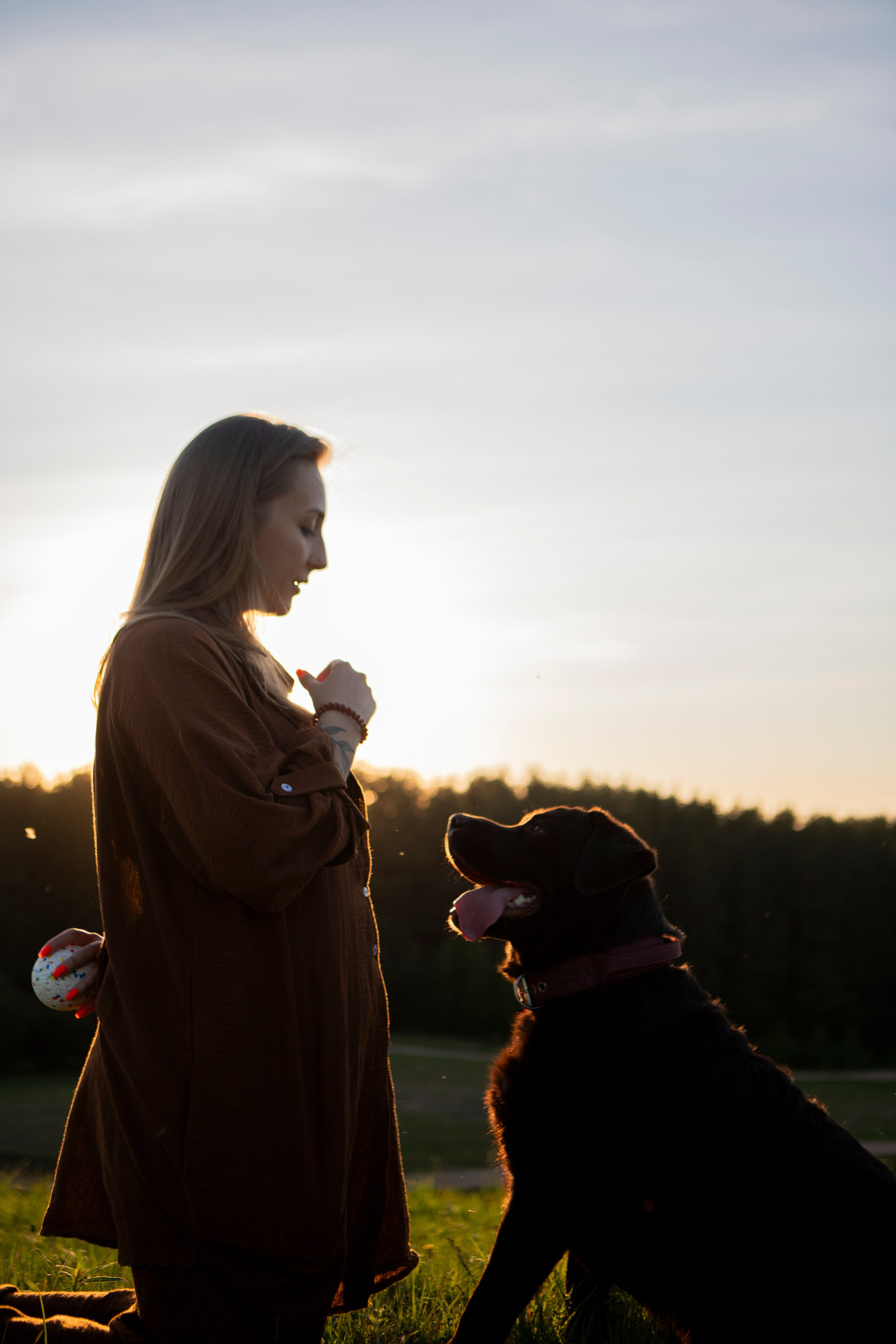 Закатная. Фотограф-анималист в Санкт-Петербурге Алина Яхонт