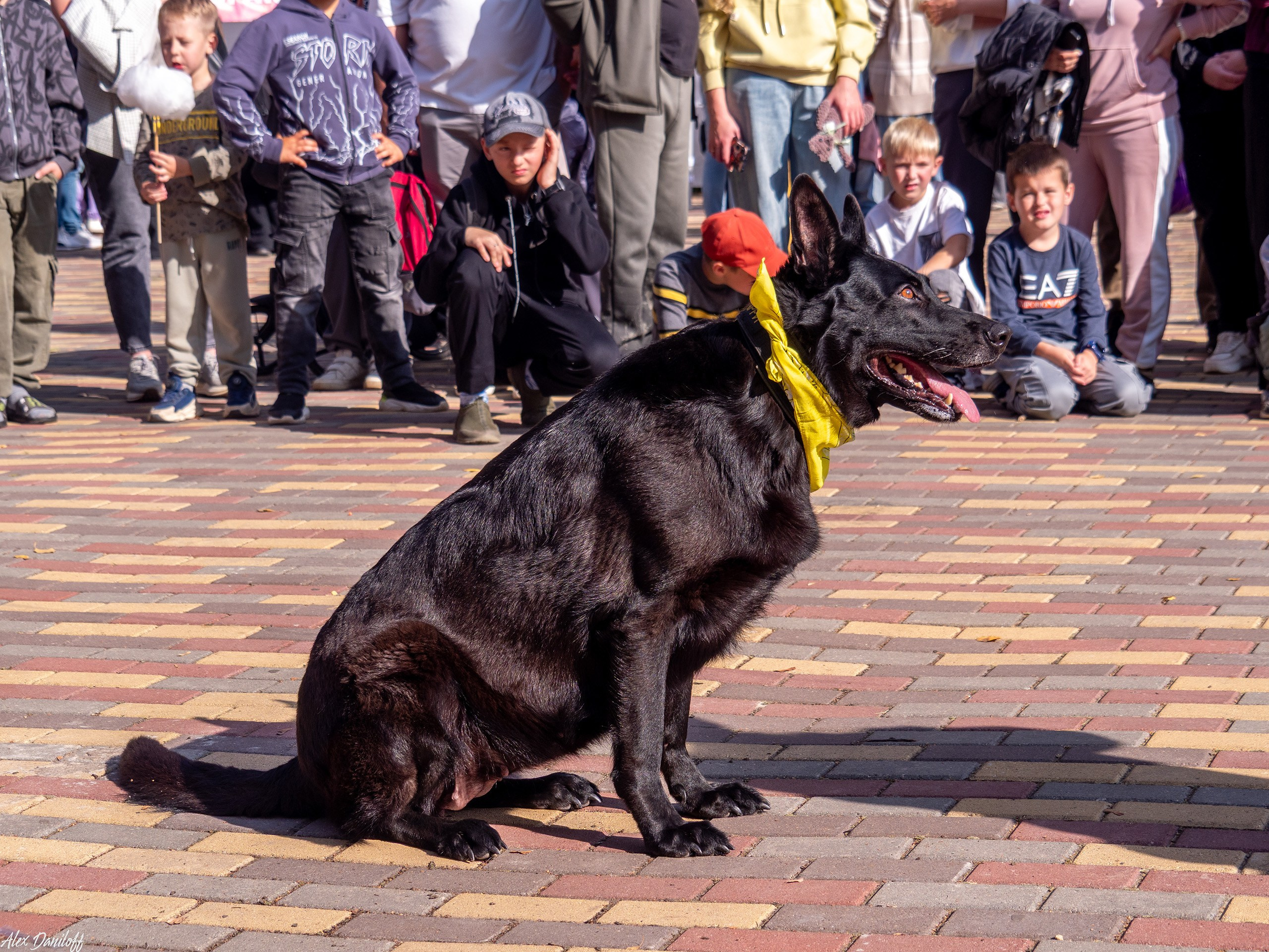 Обнимака 2025. Муром-Инфо. Новости культуры, образования, спорта в городе Муром