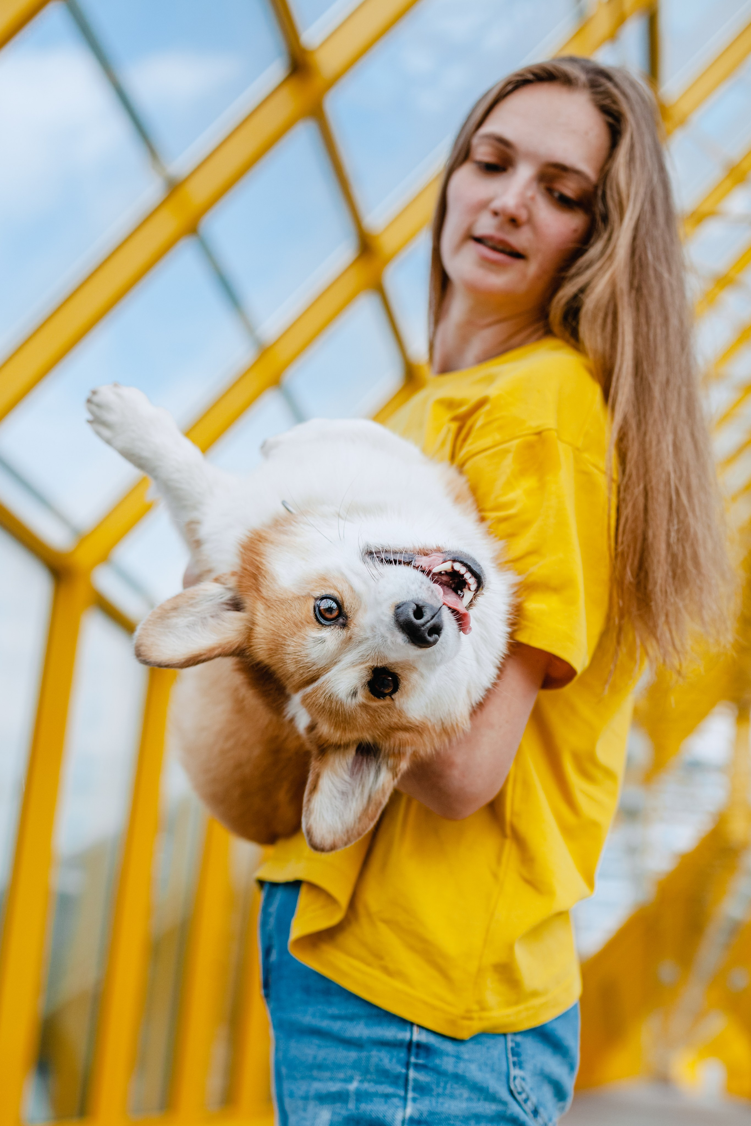 Андреевский мост. Фотограф-анималист Татьяна Степанова