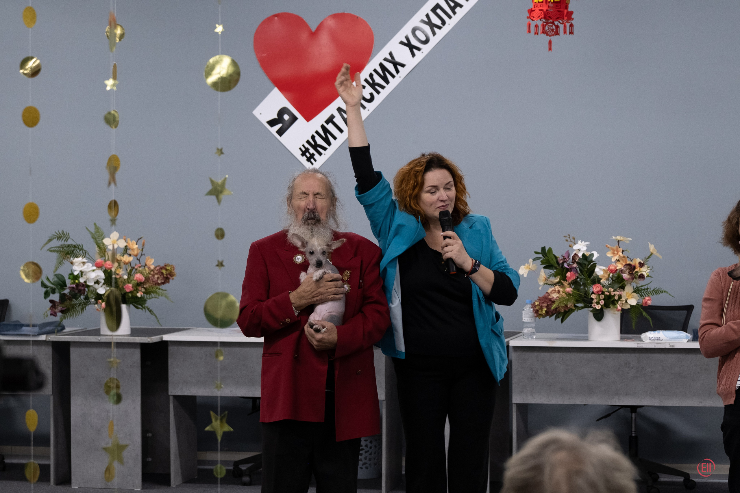 Праздник породы «Яркий мир китайских хохлатых собак». Питомник китайских хохлатых собак Poale Ell: купить щенка