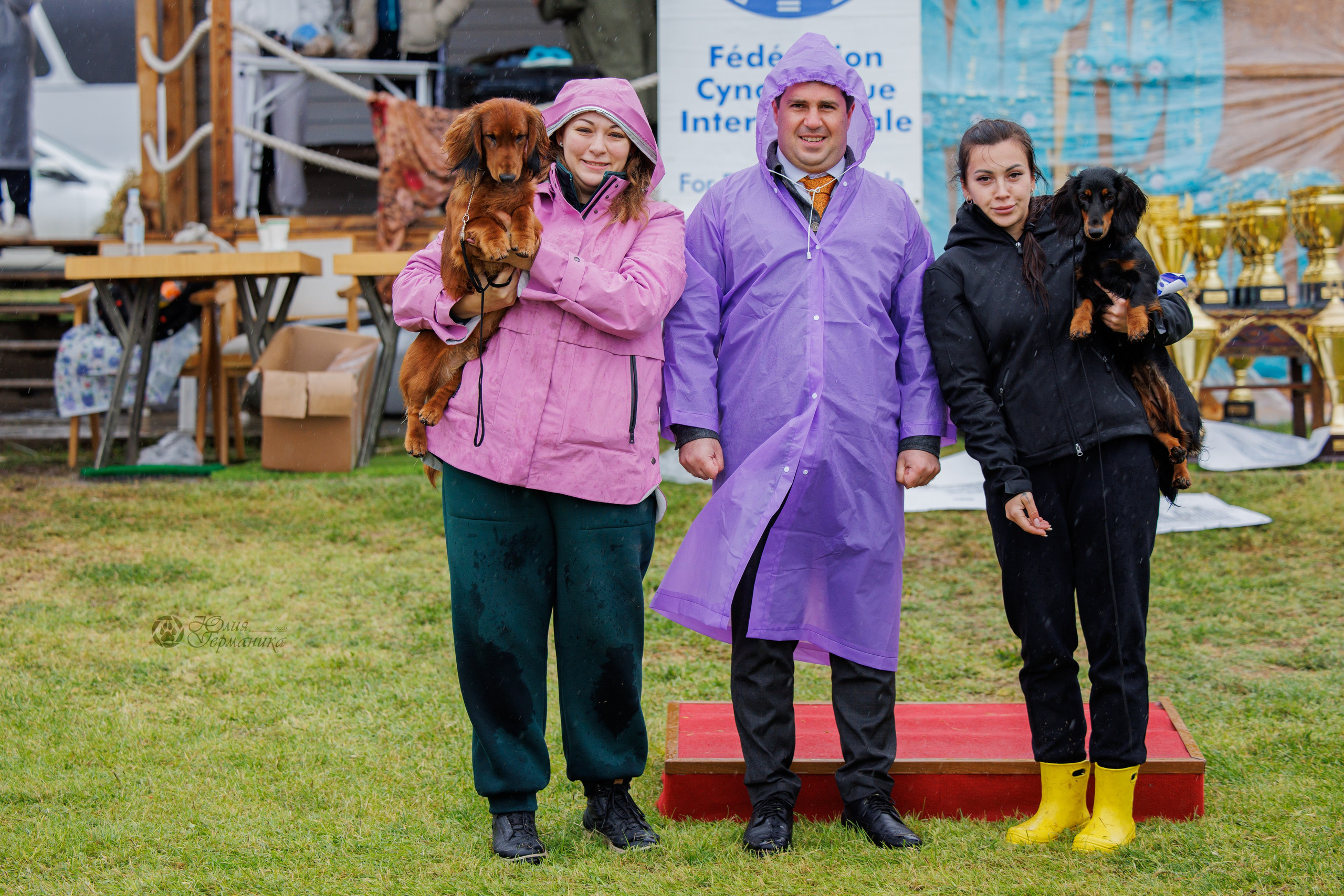 Армения,Ереван 3хCACIB 15-17.10.2024. Фотограф-анималист Юлия Германика