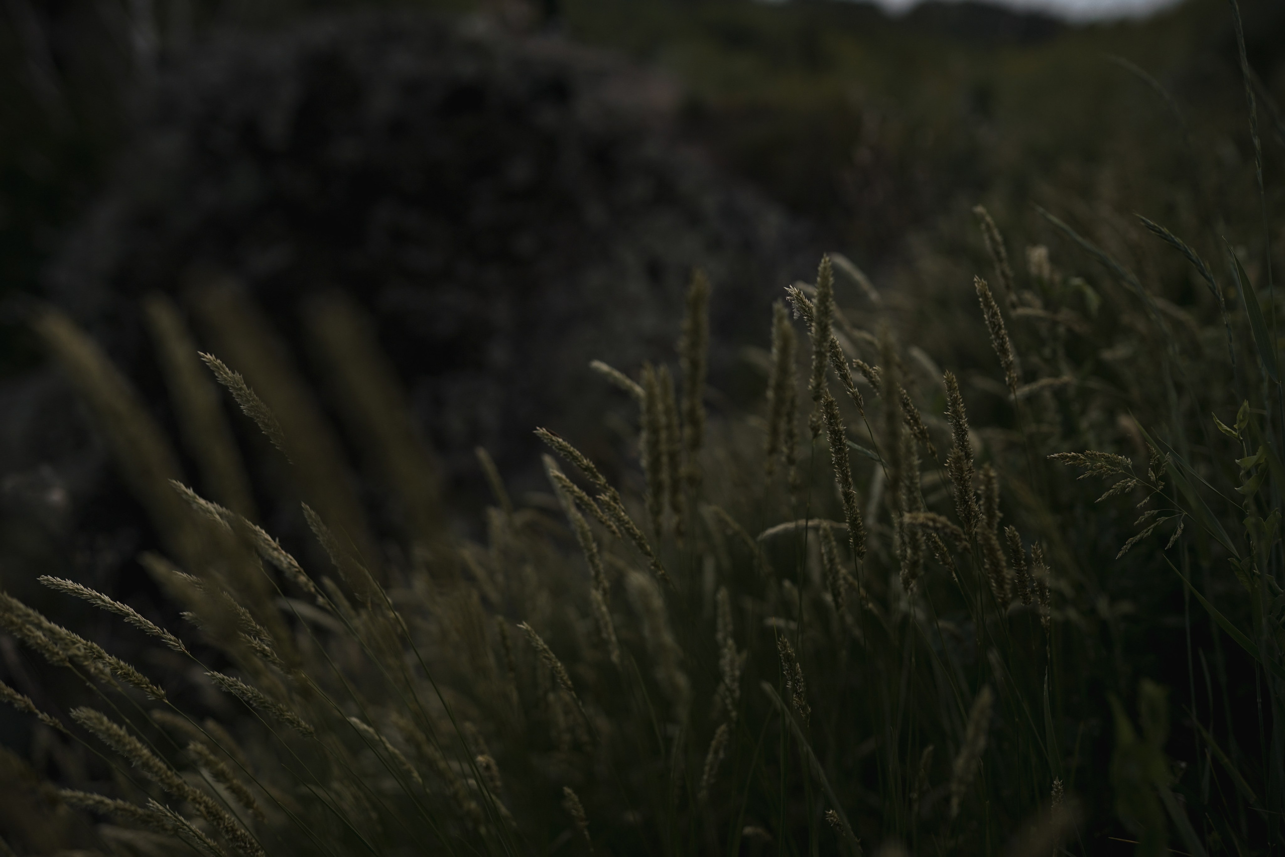 Наслаждаясь тишиной