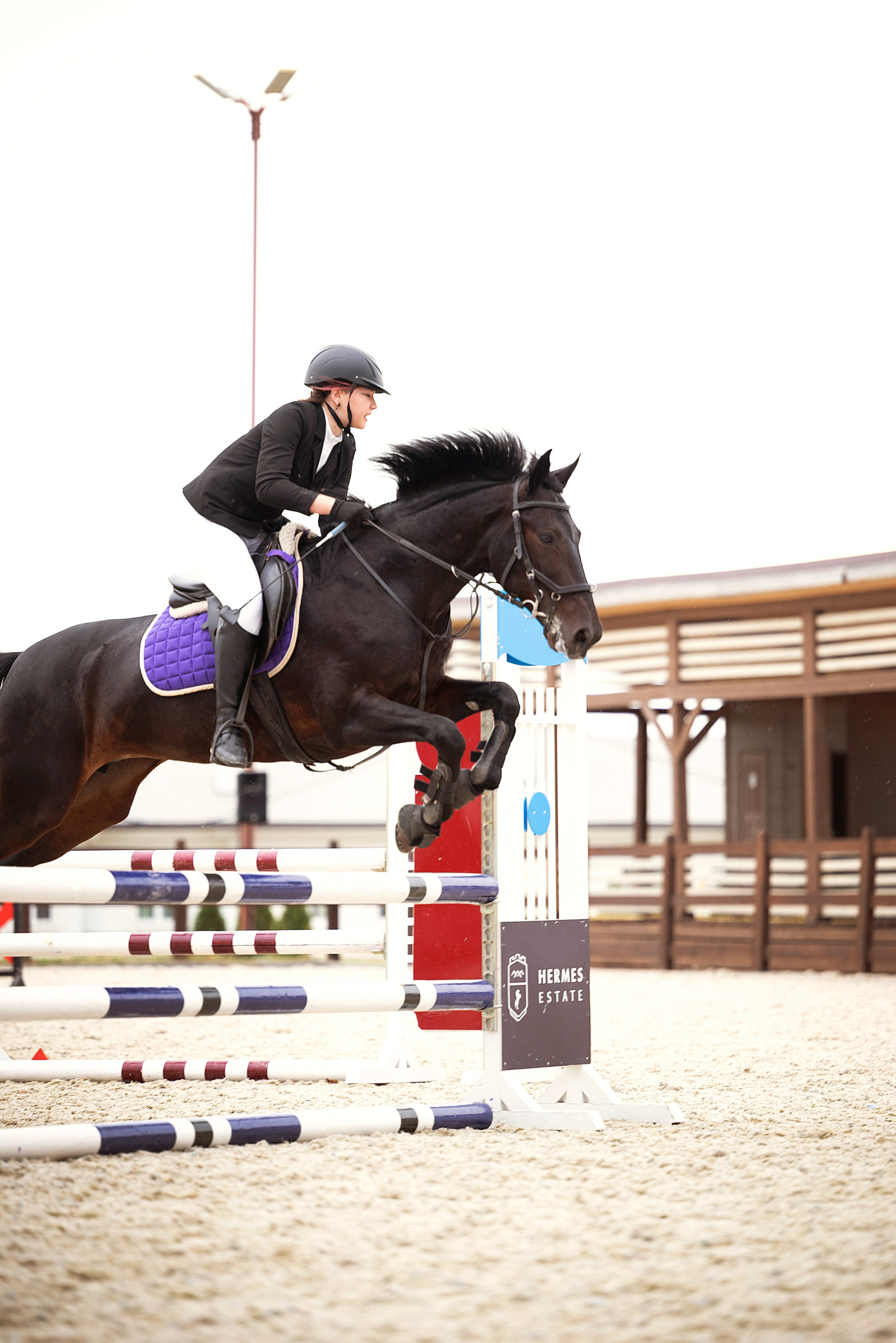 КСК ГЕРМЕС. Мила Астахова