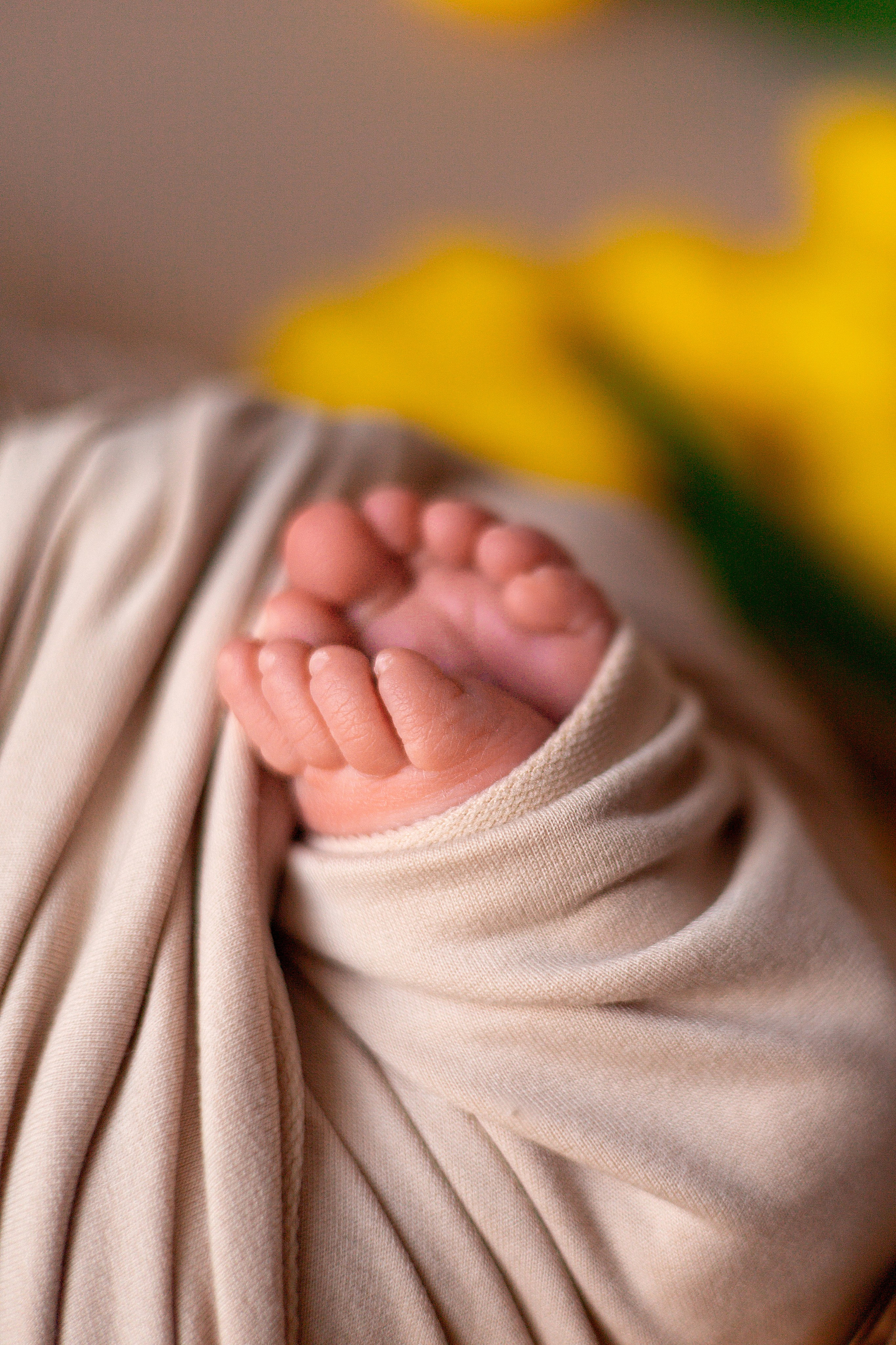 Новорождённые малыши. Семейный и детский фотограф в Михайловке Татьяна Лестьева