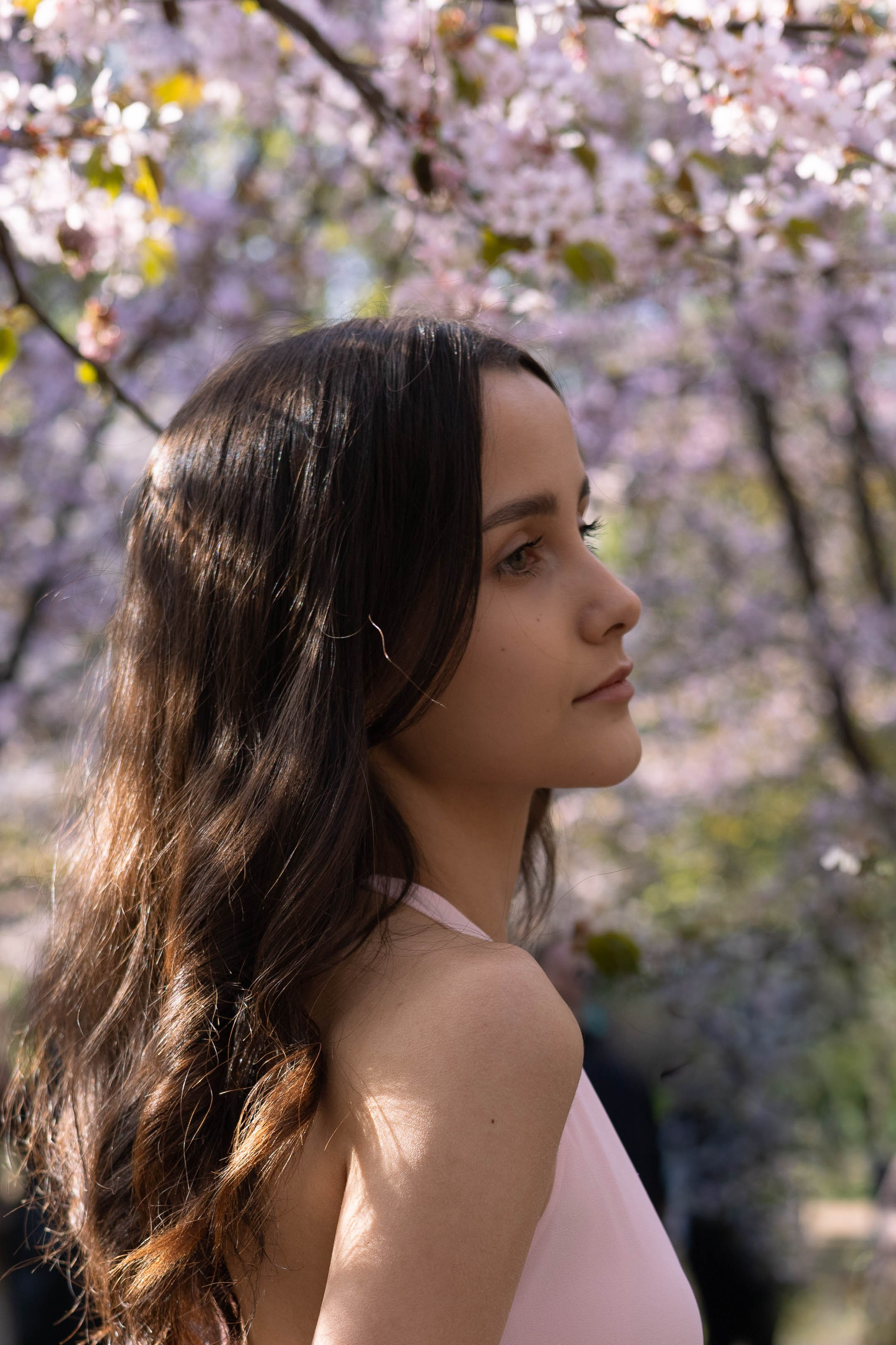 Sakura. ITMAG.ME | Visual Art