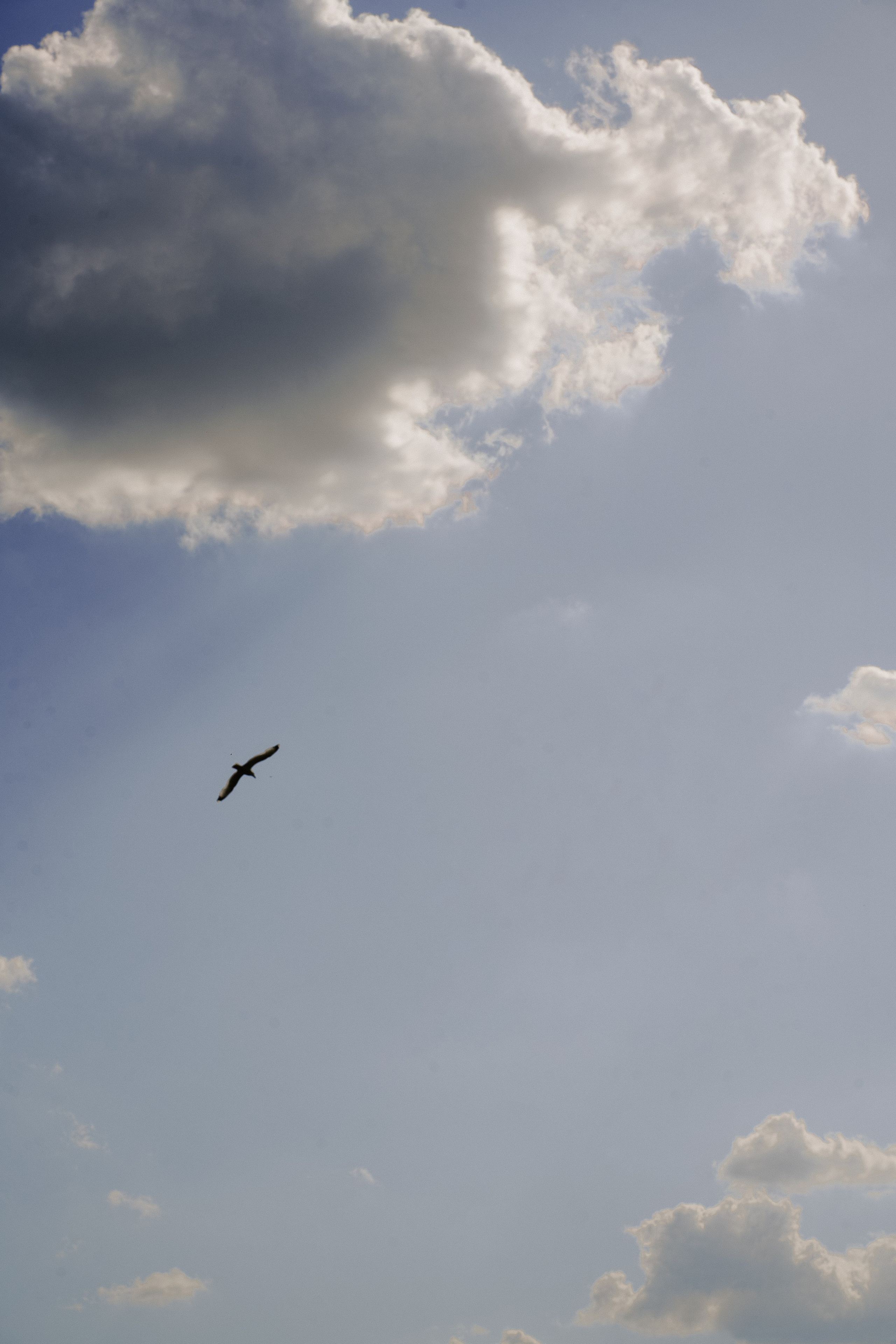 Большая свадьба 22.05.2025. Photographer_anastasia_margushina