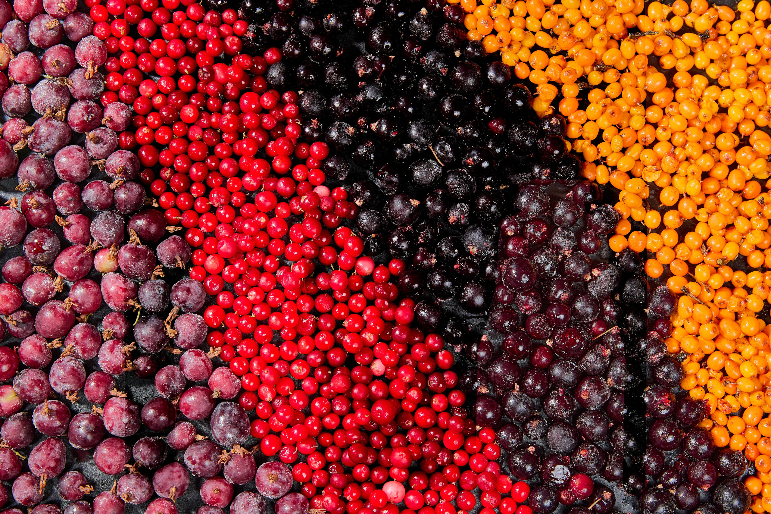 Ферма «Брод». Фотограф Александра Иванова