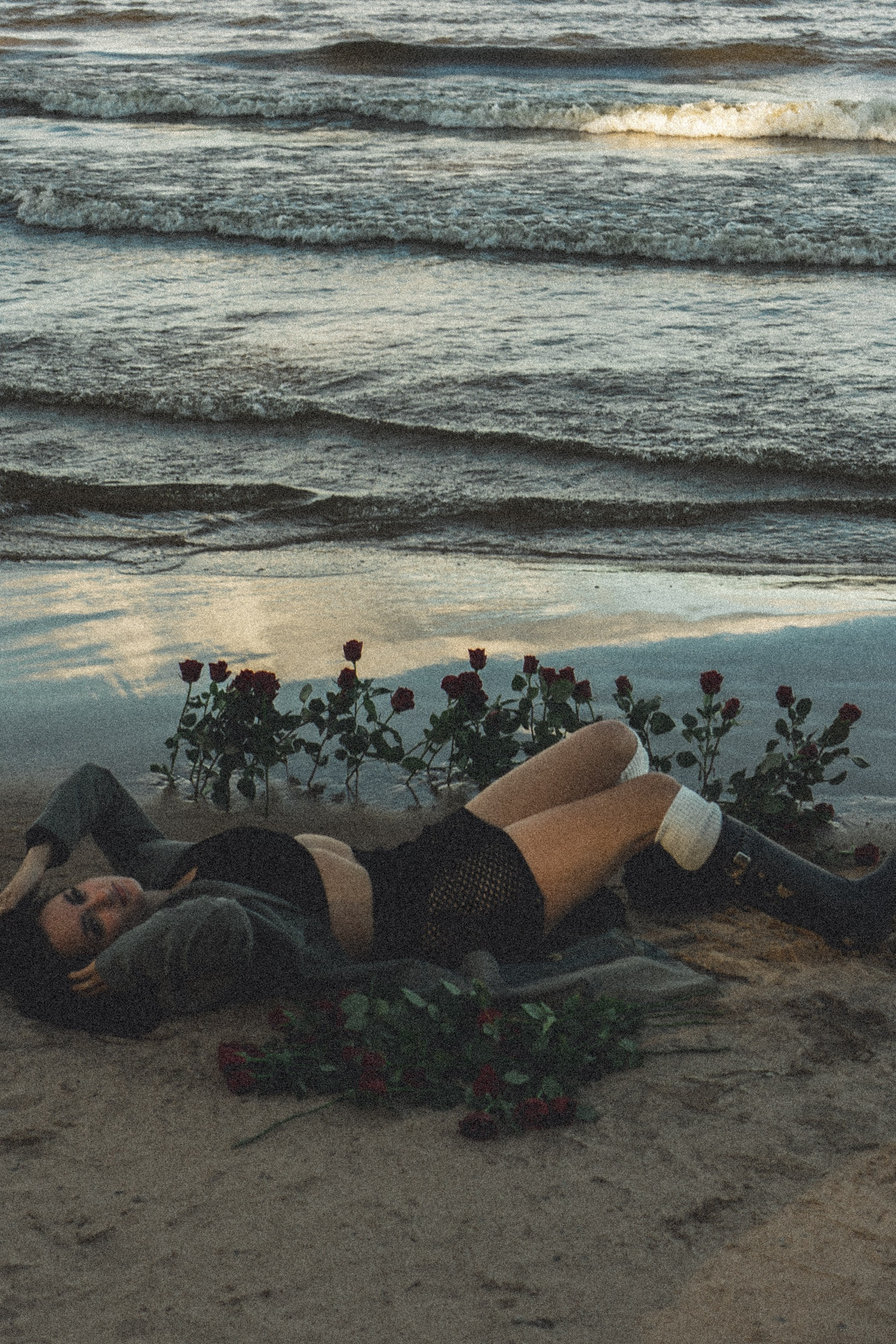 Розы. Профессиональный фотограф, Санкт-Петербург — Виктория Богомолова